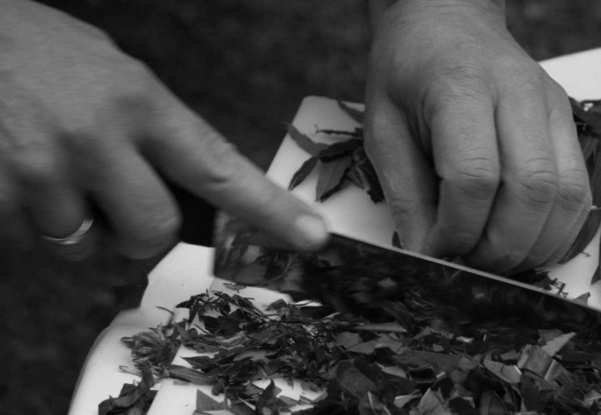 Cooking Class at Plataran Komodo Resort and Spa - Thumbnail 5