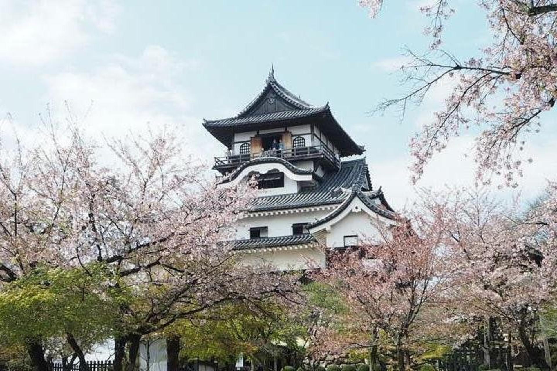 Nagoya Full-day Private Custom Tour with National Licensed Guide - Thumbnail 2