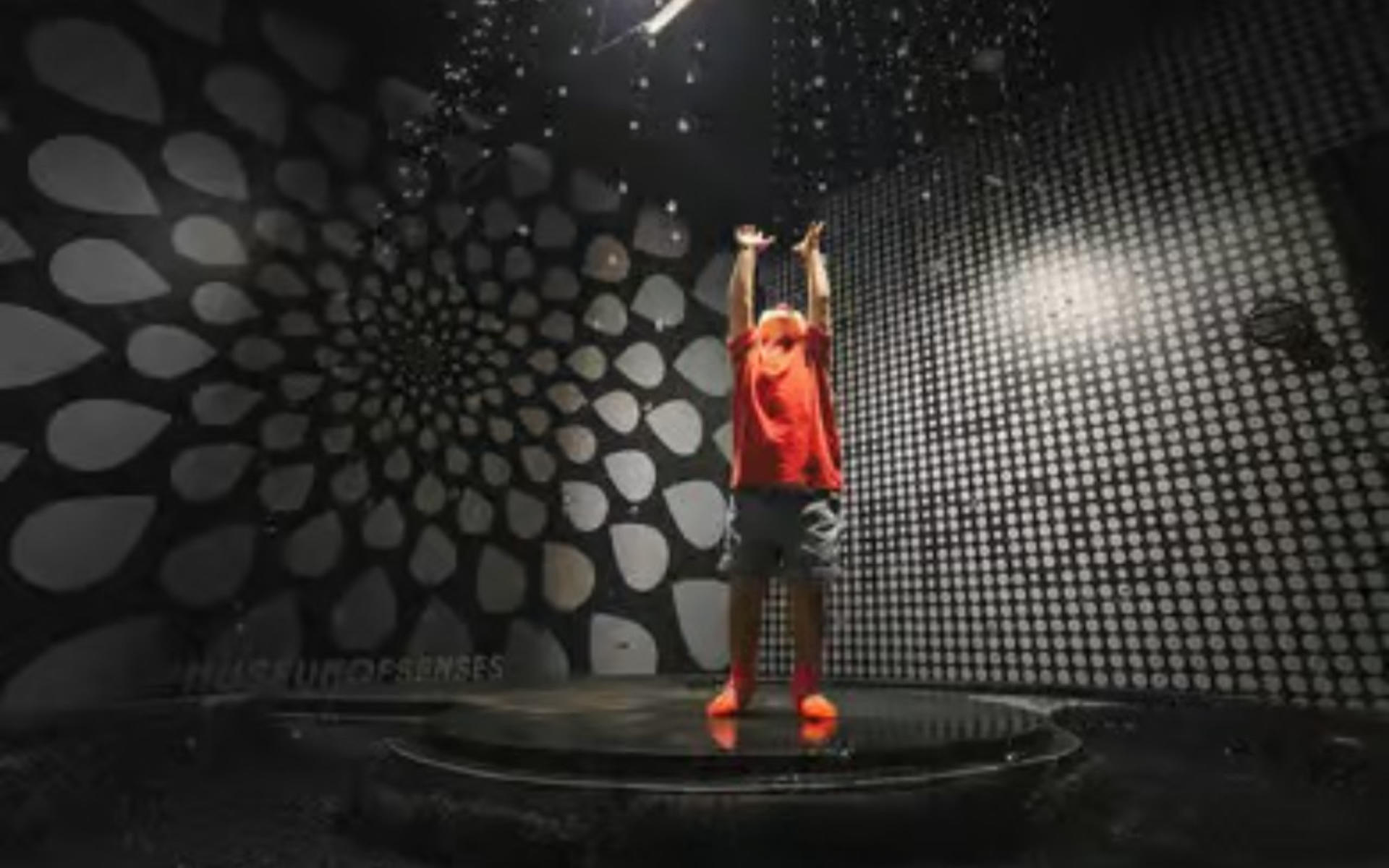 Museum of Senses Ticket in Madrid - Thumbnail 2