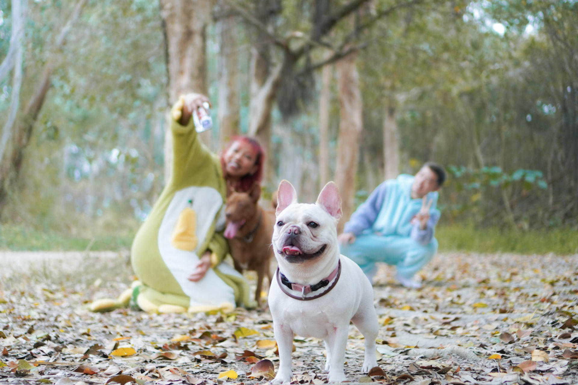 Kate.jpggg - Pet Photography (Custom Location - 2-Hour Shoot) - Thumbnail 9