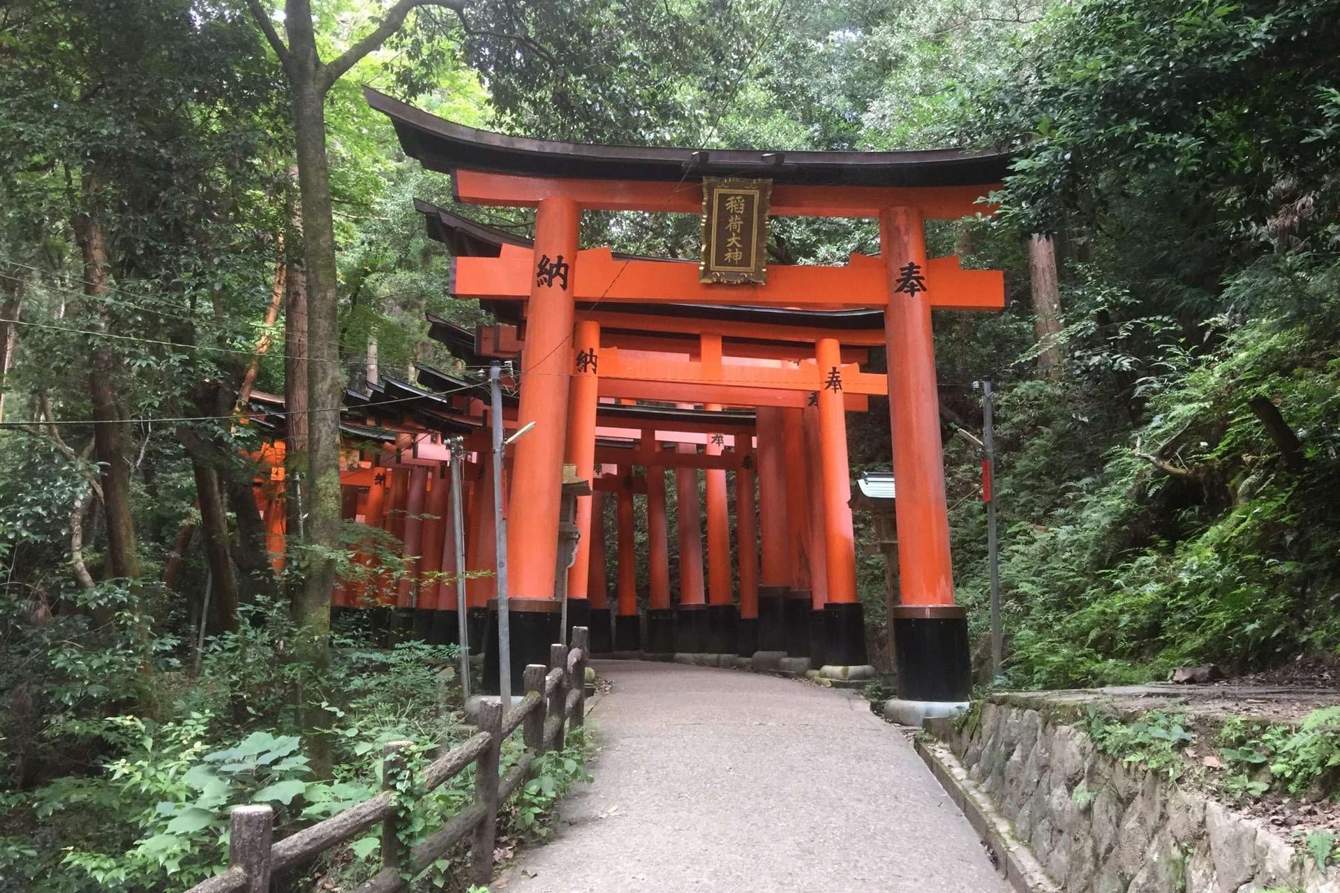 Full-Day Private Guided Tour to Kyoto Temples - Thumbnail 5