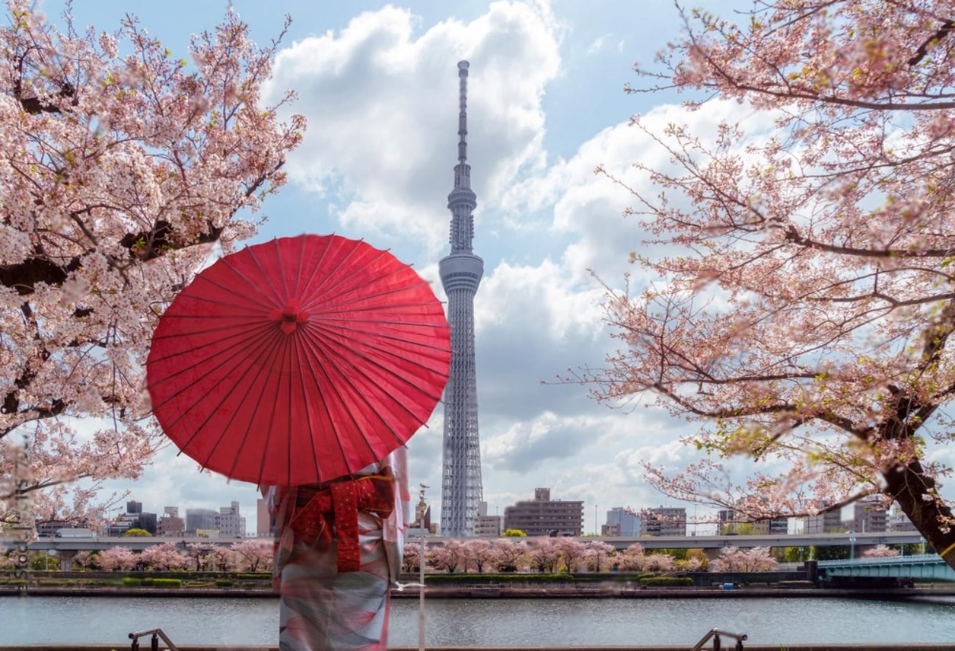 Tokyo Highlights Private Day Trip - Image 1