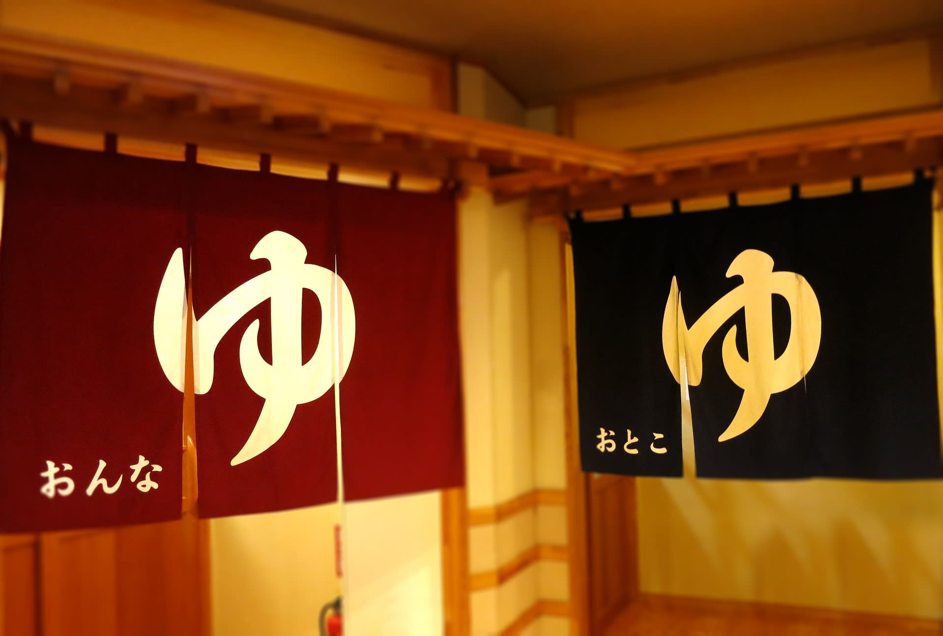 Tattoo-friendly Open-air Onsen (Hot Spring) in Tokyo - Thumbnail 4