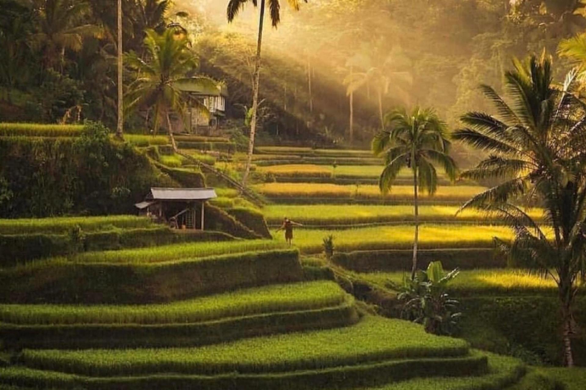 Bali Ubud ATV Ride With Optional Tour And Activities - Thumbnail 6