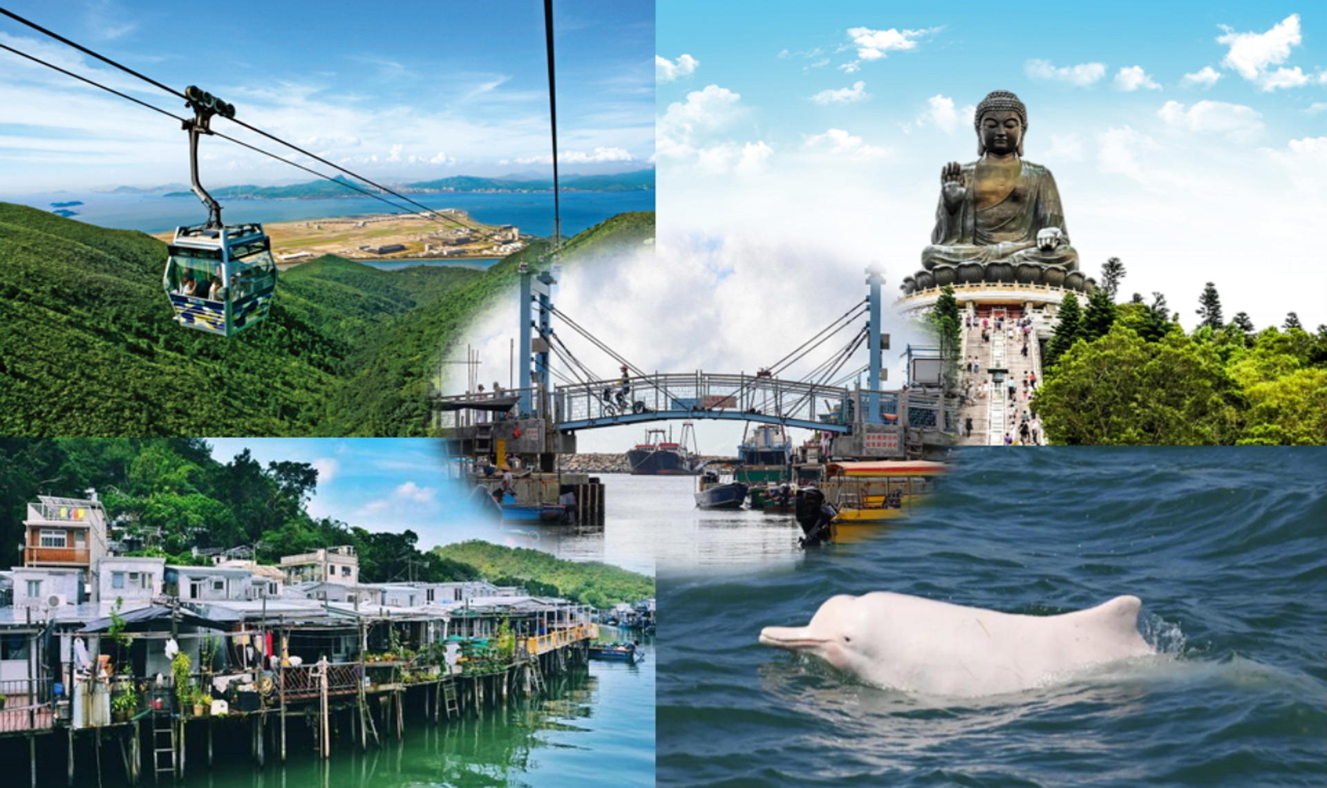 Luxury Lantau Tour with Crystal Cable Car, Tai O boat, hotel pick up - Thumbnail 2