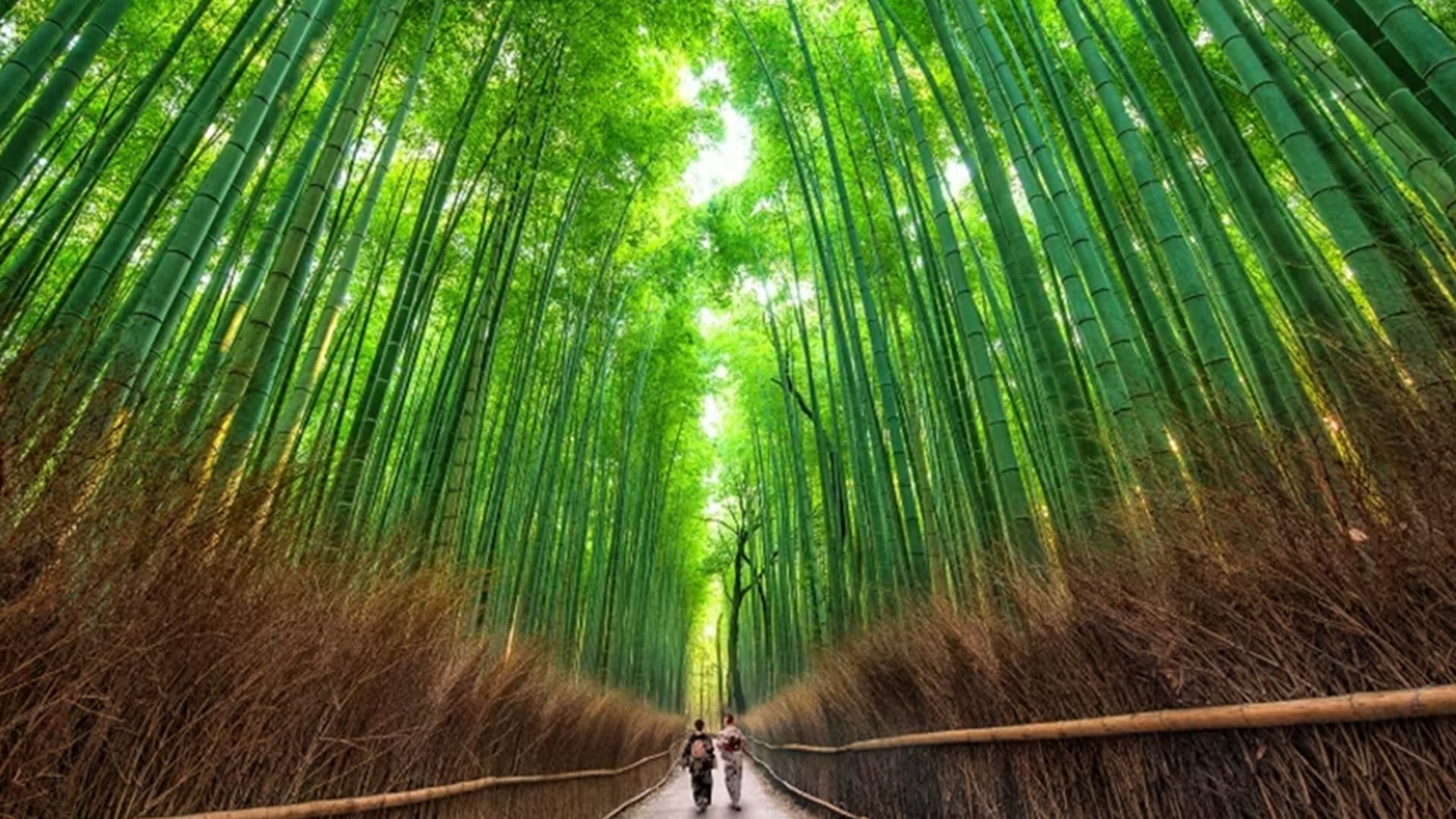 Kyoto: Arashiyama UNESCO Walking Tour with Admission - Image 1