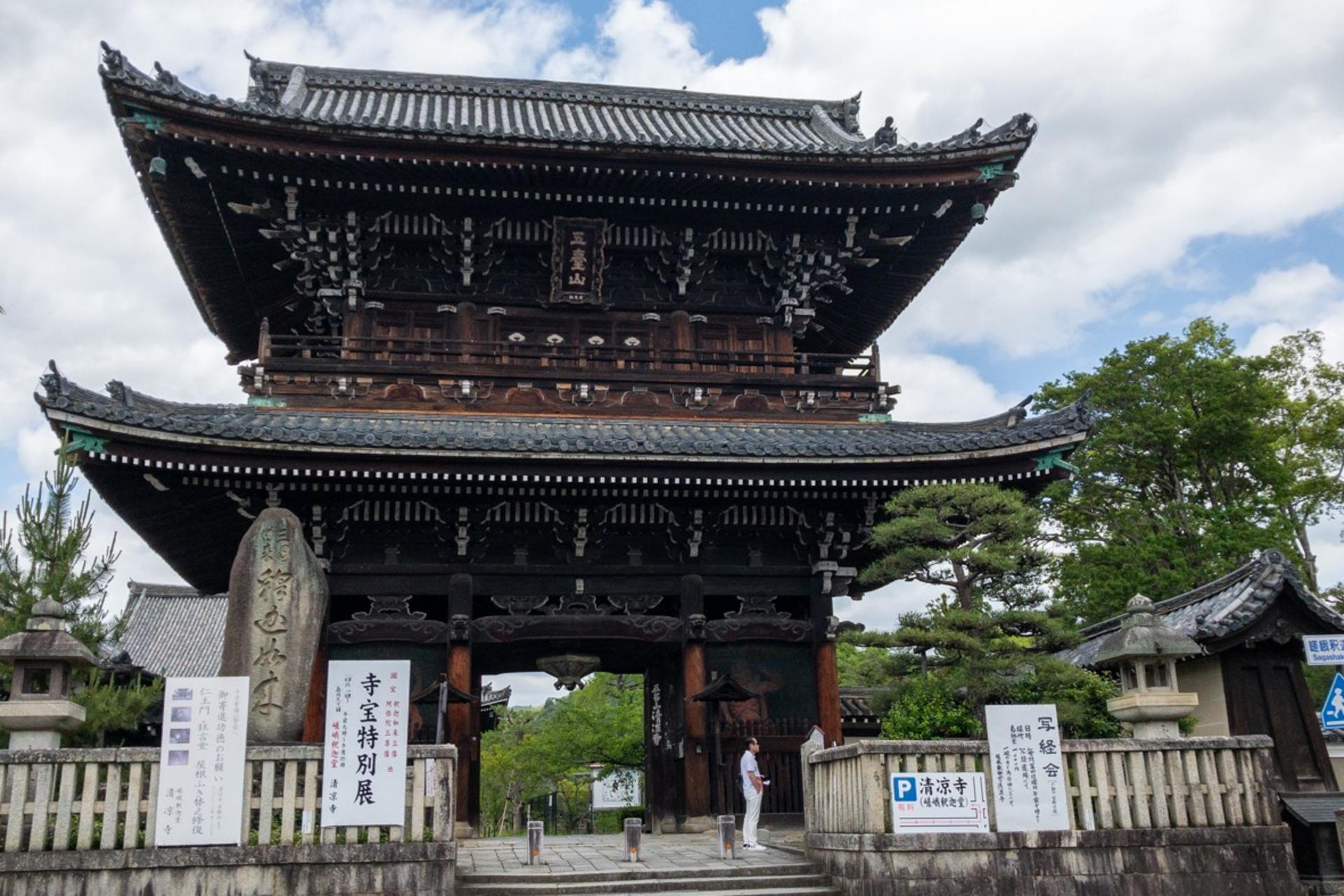 Kyoto City, Arashiyama & Sagano Half Day Guided Walking Tour - Thumbnail 3