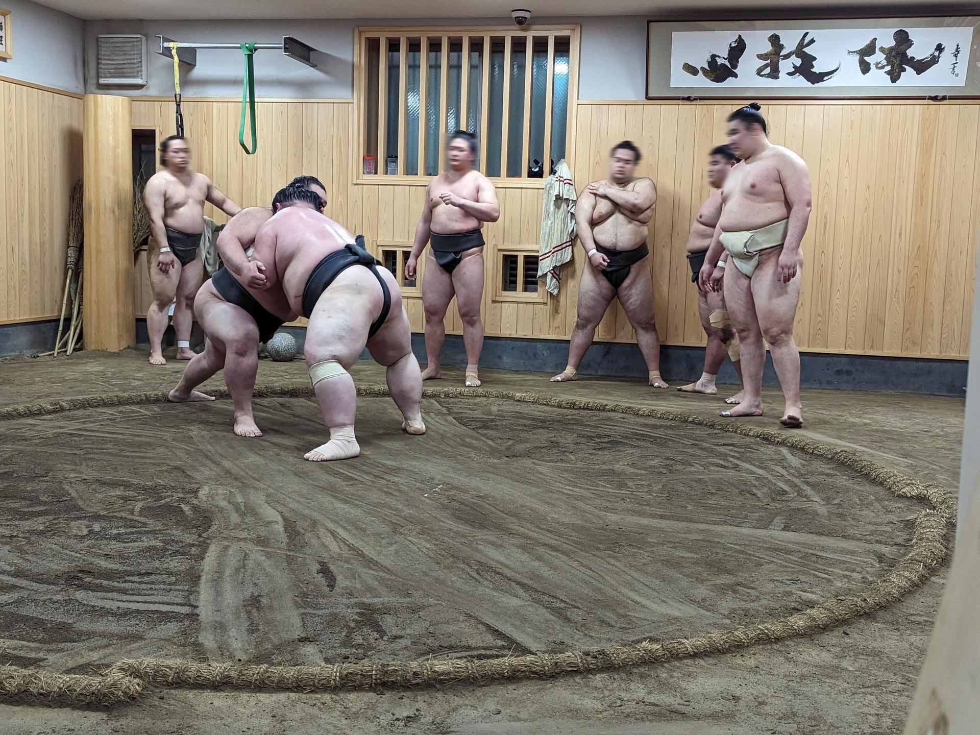 Find Your Favorite Wrestler at Morning Sumo Practice - Thumbnail 6
