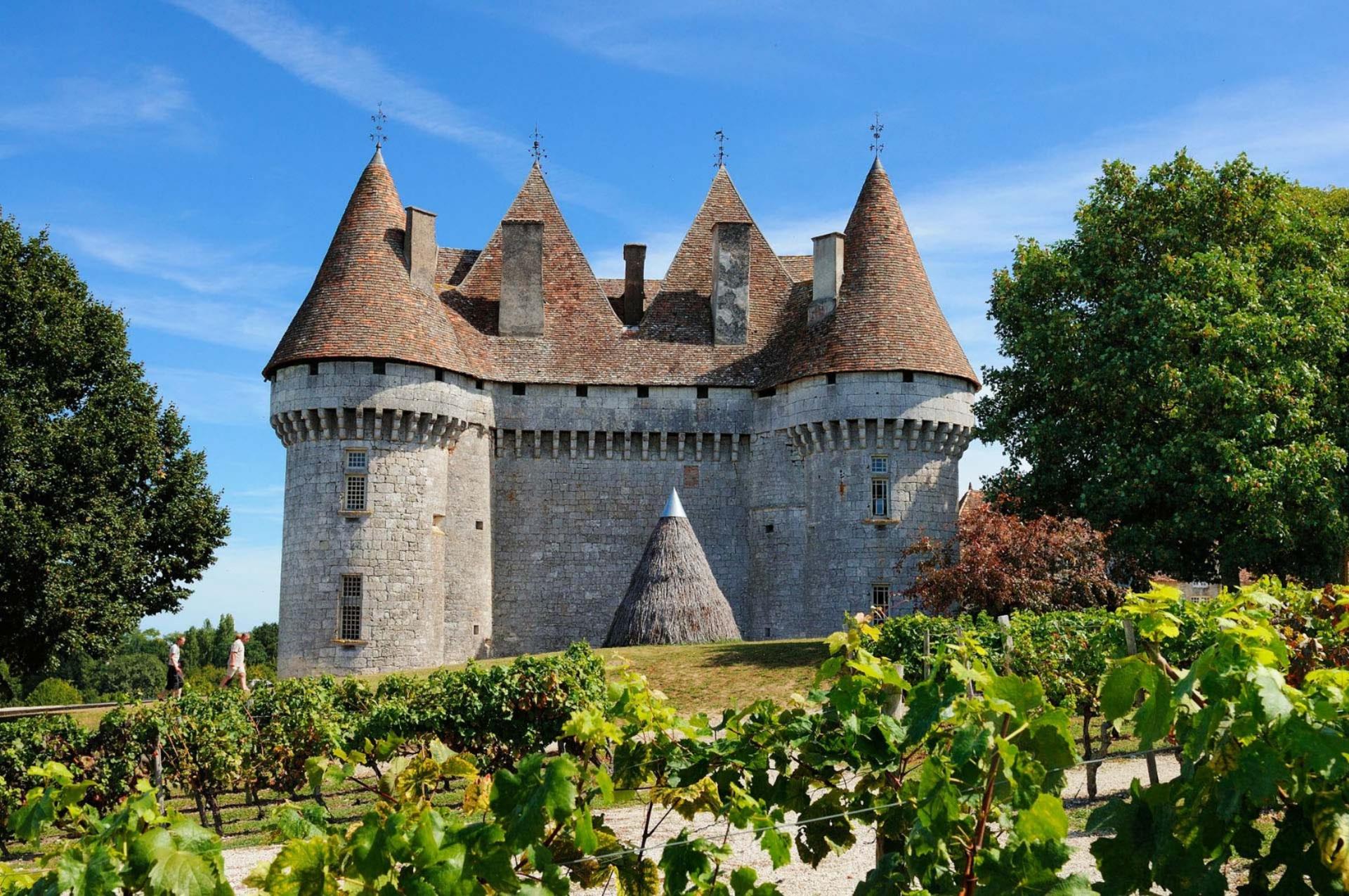Saint-Emilion Wines and Village One Day Tour from Bordeaux - Thumbnail 2