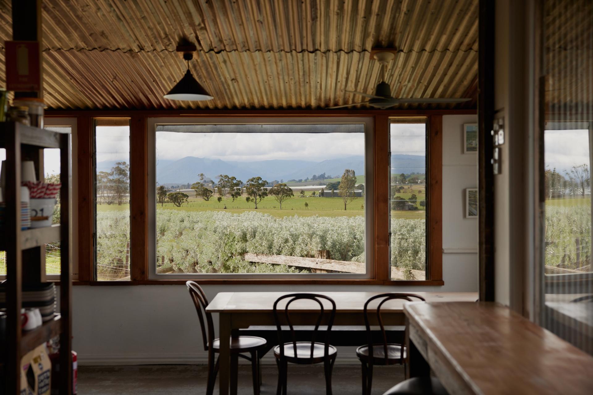 Yarra Valley Dairy Picnic Pack - Thumbnail 3