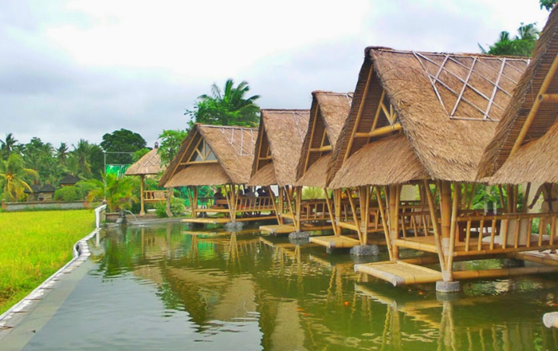 Yoga Experience at The Yoga Barn and Food Tour in Ubud - Thumbnail 7