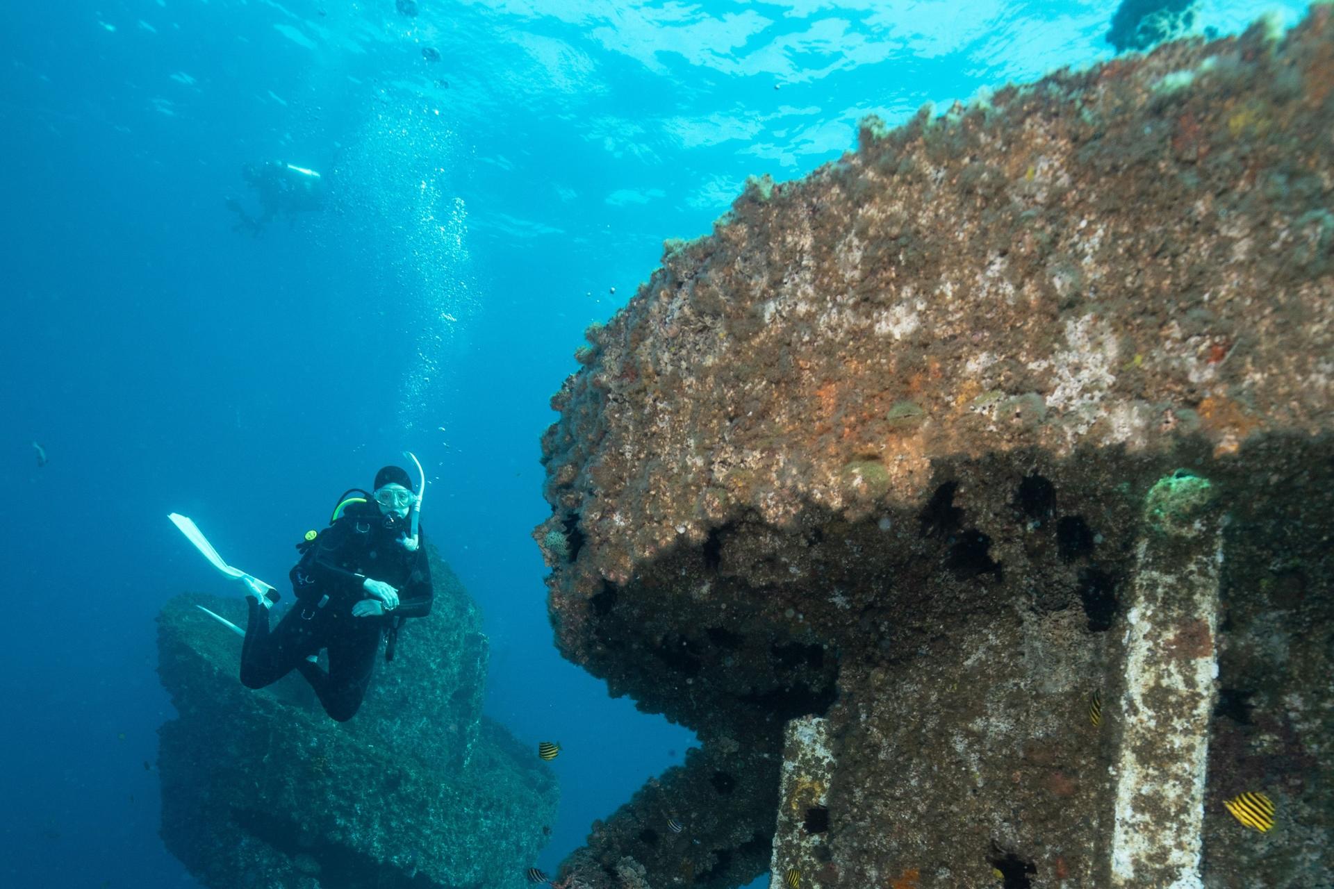 Wonder Reef Diving Experience in Gold Coast - Thumbnail 2