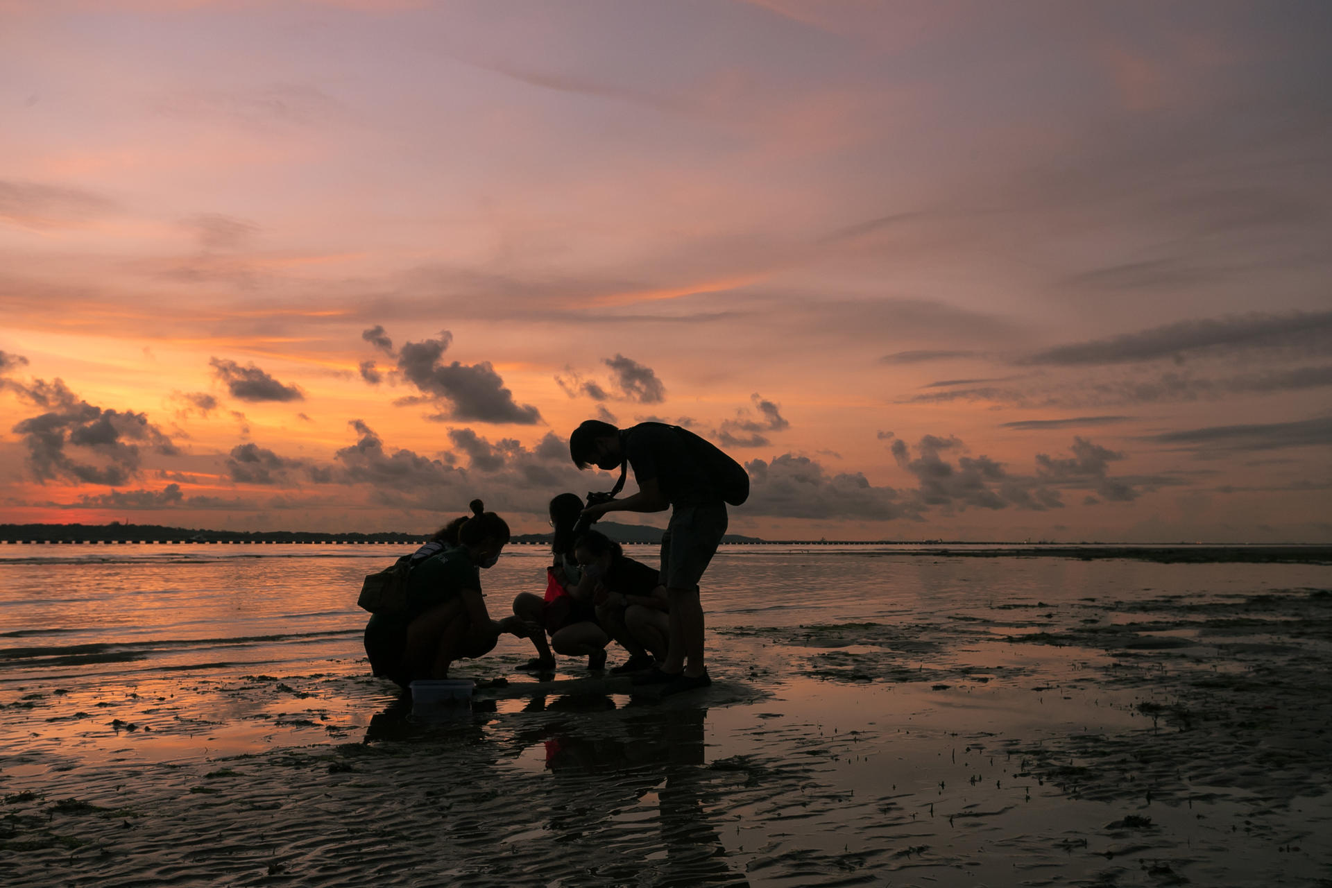 Experiential Intertidal Exploration by The Untamed Paths - Thumbnail 8