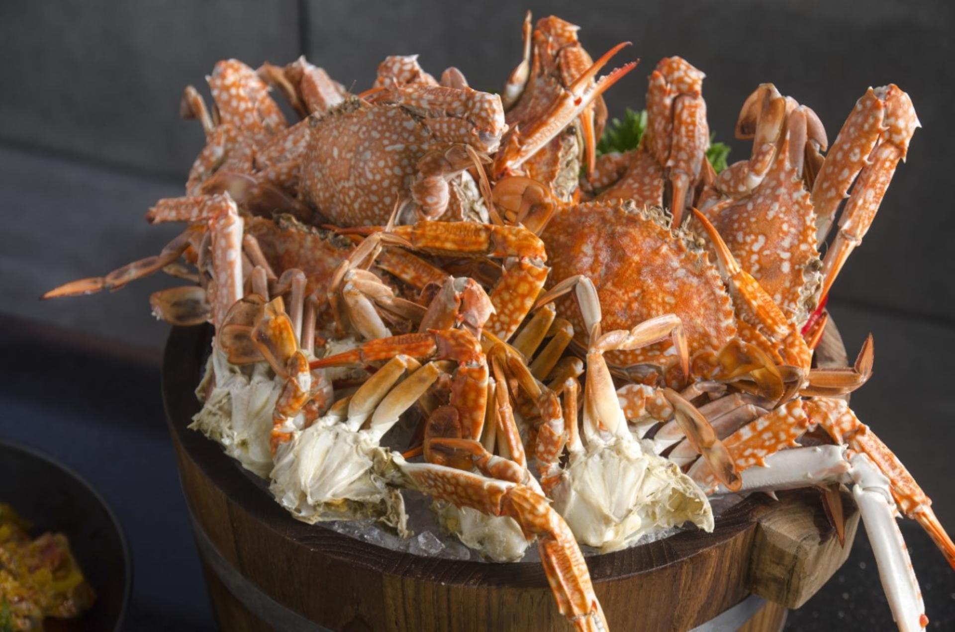 All-day Buffet at Zeta Cafe Holiday Inn Bangkok Sukhumvit 22 - Thumbnail 3