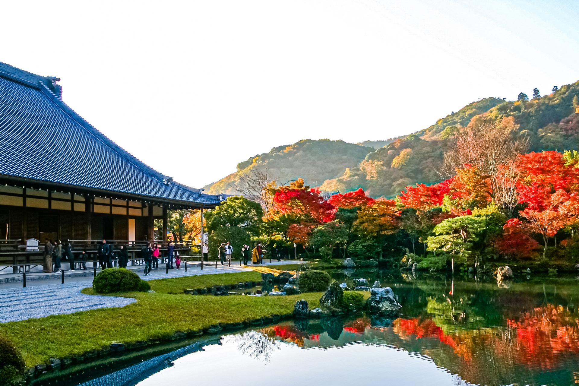 Kyoto City, Western Kyoto & Arashiyama:In-Depth 1-Day Cultural Tour - Thumbnail 9