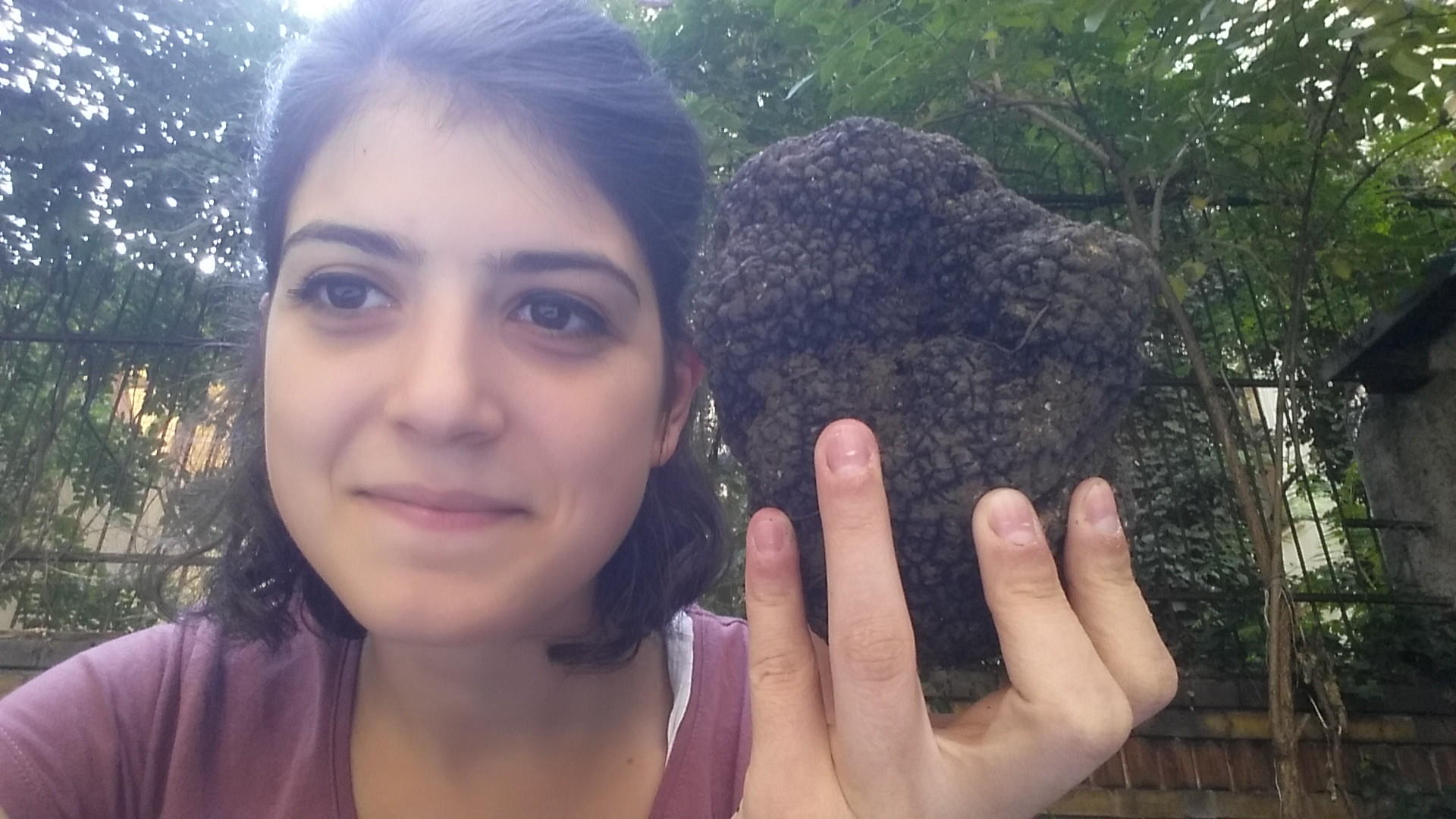 Truffle Hunting with Lunch/Dinner halfway from Cinque Terre to Parma - Thumbnail 9