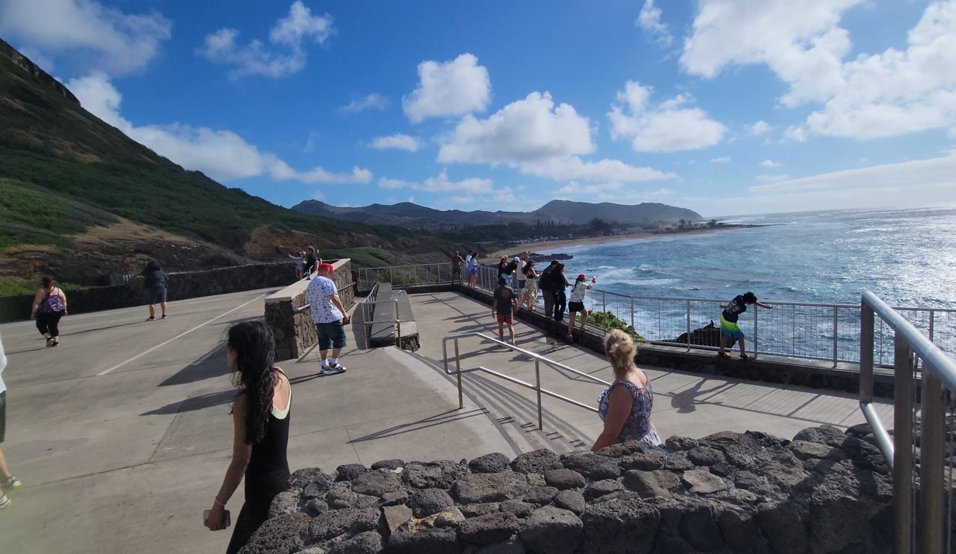 Oahu North Shore Circle Island Adventure + Swimming with Turtles - Thumbnail 9