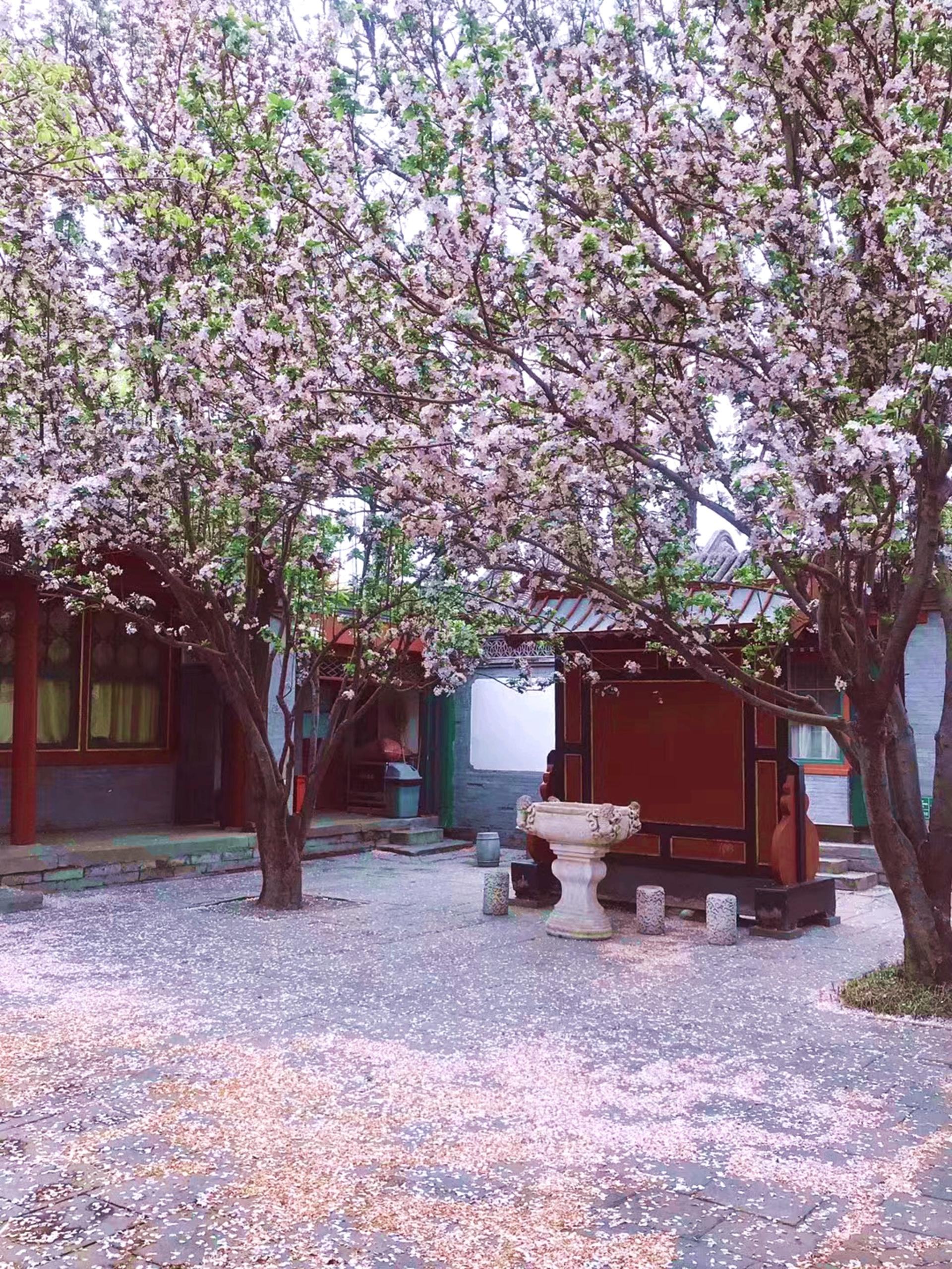 Beijing Rickshaw Experience Tour (Shichahai/Prince Gong's Mansion/Hutong Tour) - Thumbnail 3