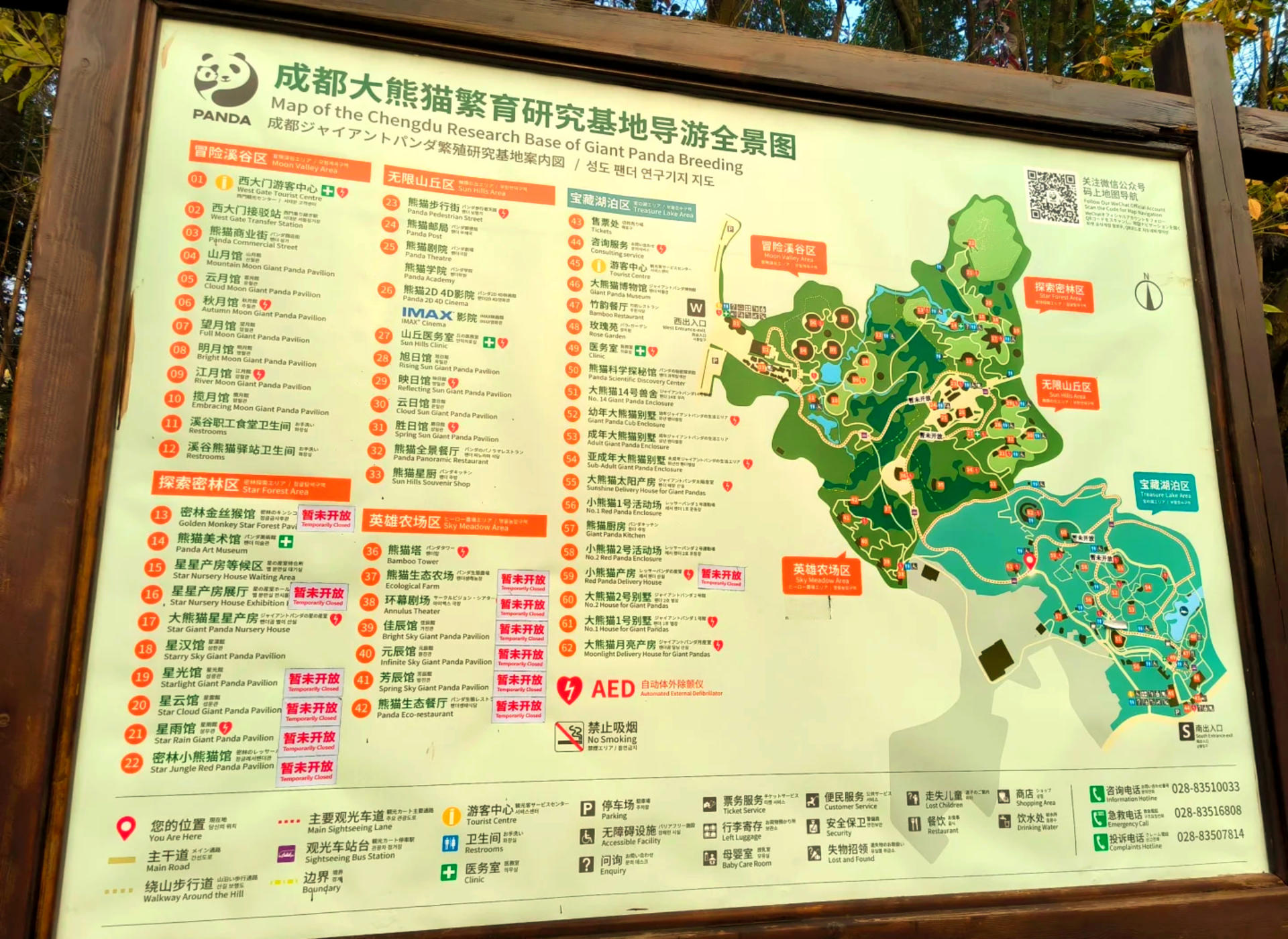 Chengdu Chunxi Road to Panda Base Direct Bus + Ticket + Private Guided Tour - Thumbnail 4