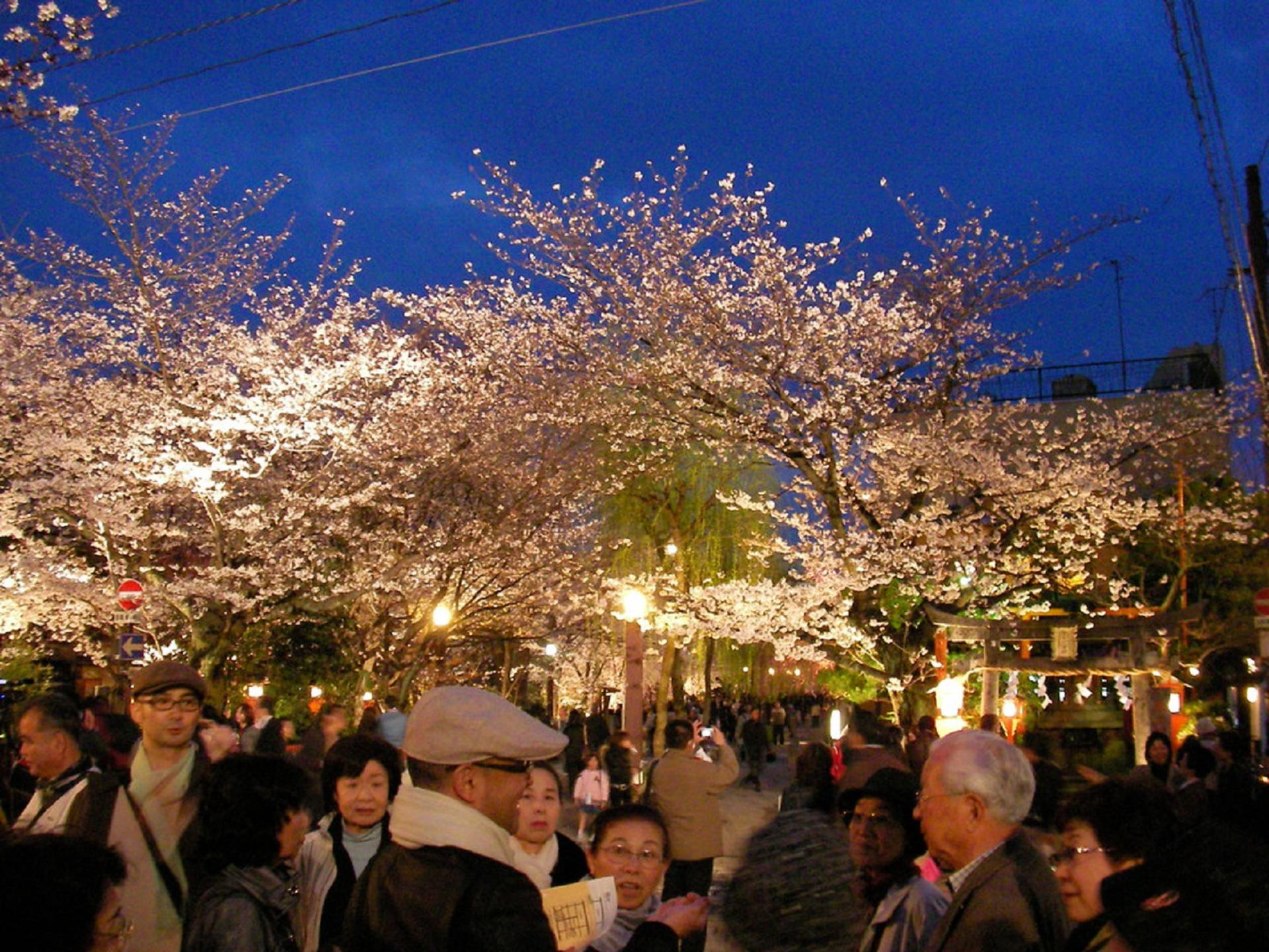Kyoto Gion Night Guided Walking Tour (3 Hours) - Thumbnail 14