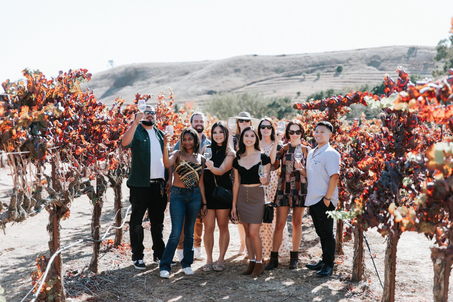 Redwoods and California Wine Country Tour from San Francisco - Thumbnail 24