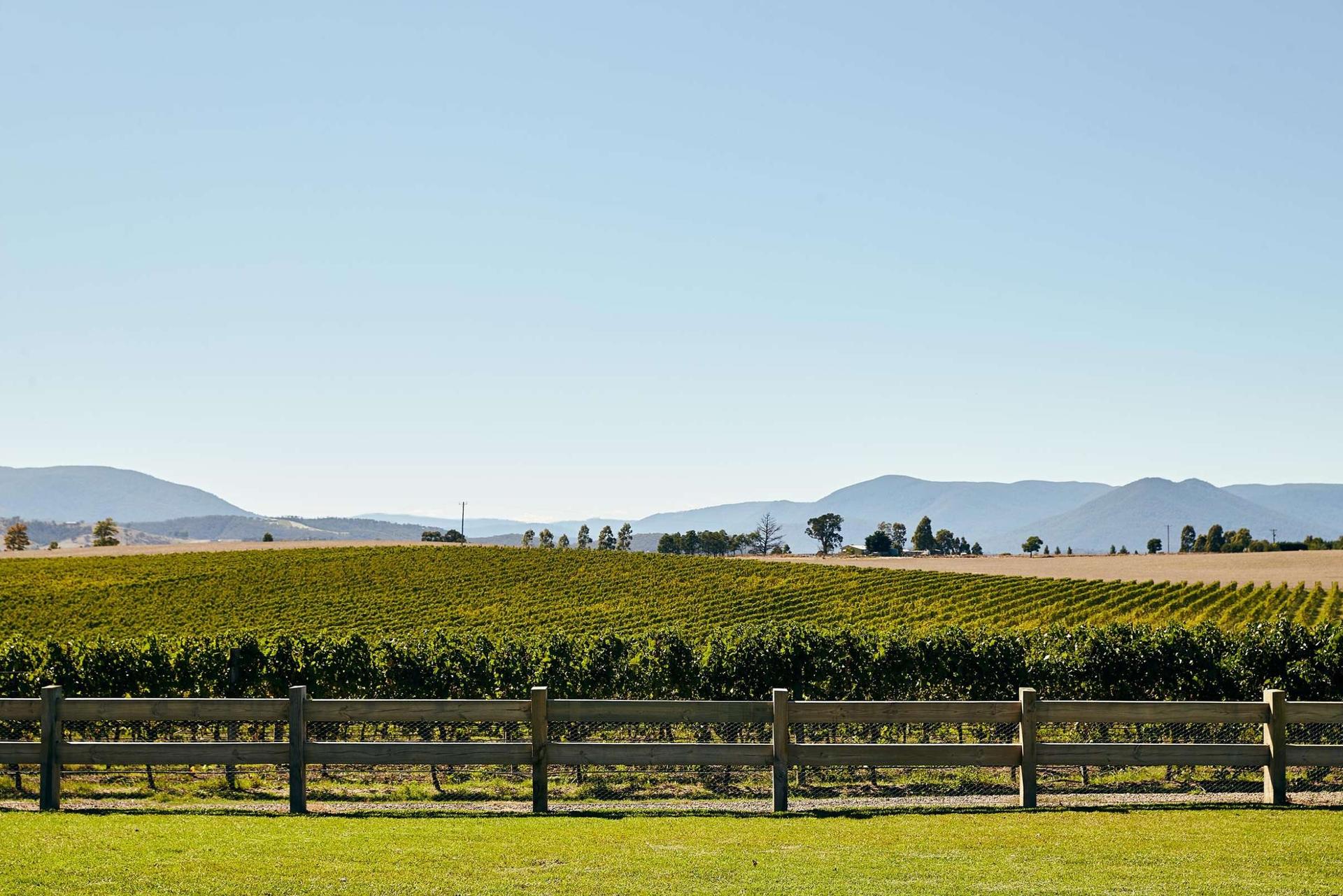 Yarra Valley Epic Wine Guided Tour from Melbourne - Thumbnail 11