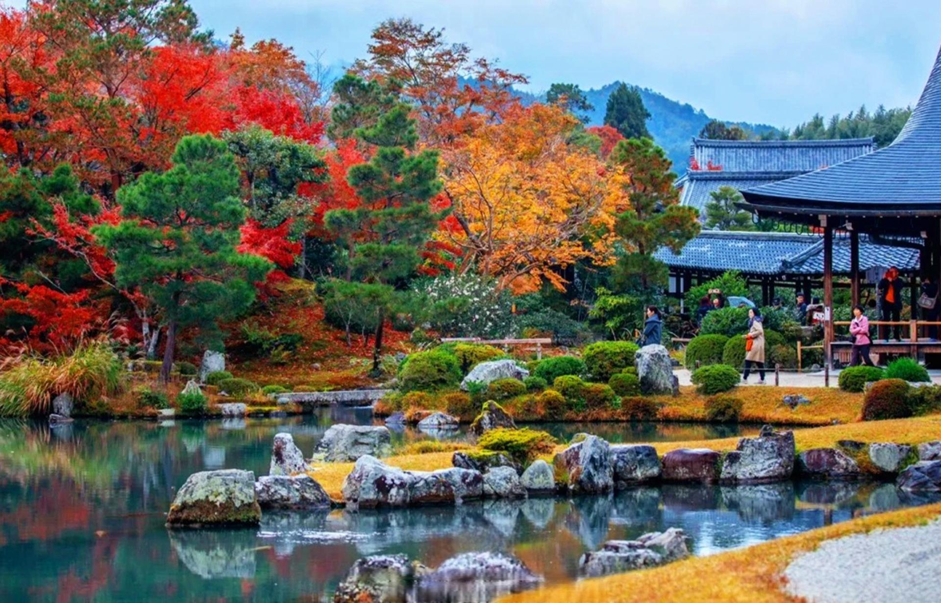 Kinkaku-ji Temple & Arashiyama Night Train Illuminations Autumn Foliage Viewing Day Tour - Thumbnail 7