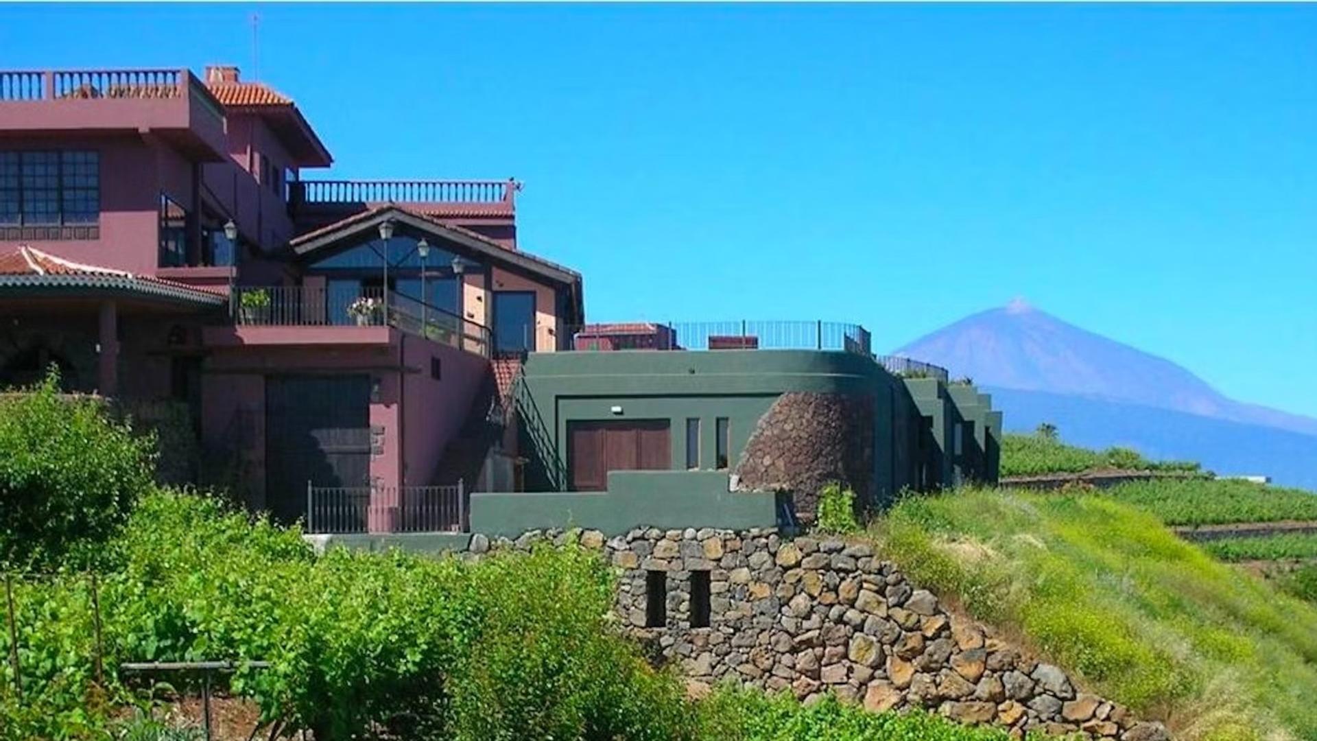 Winery Visit and Tasting Experience by Bodegas Monje - Thumbnail 4