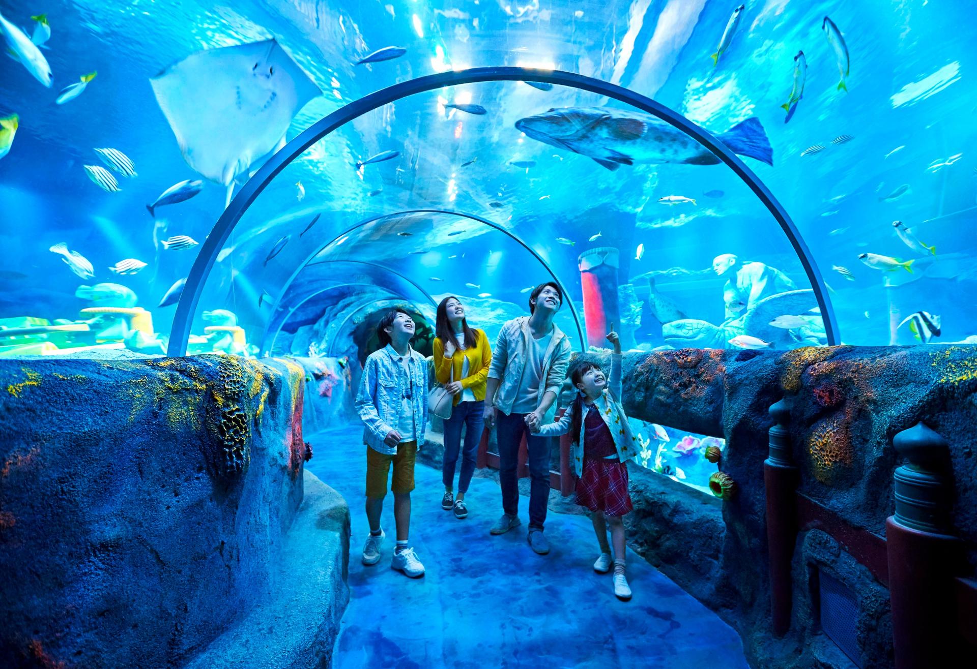 SEA LIFE Nagoya Aquarium Ticket - Thumbnail 2