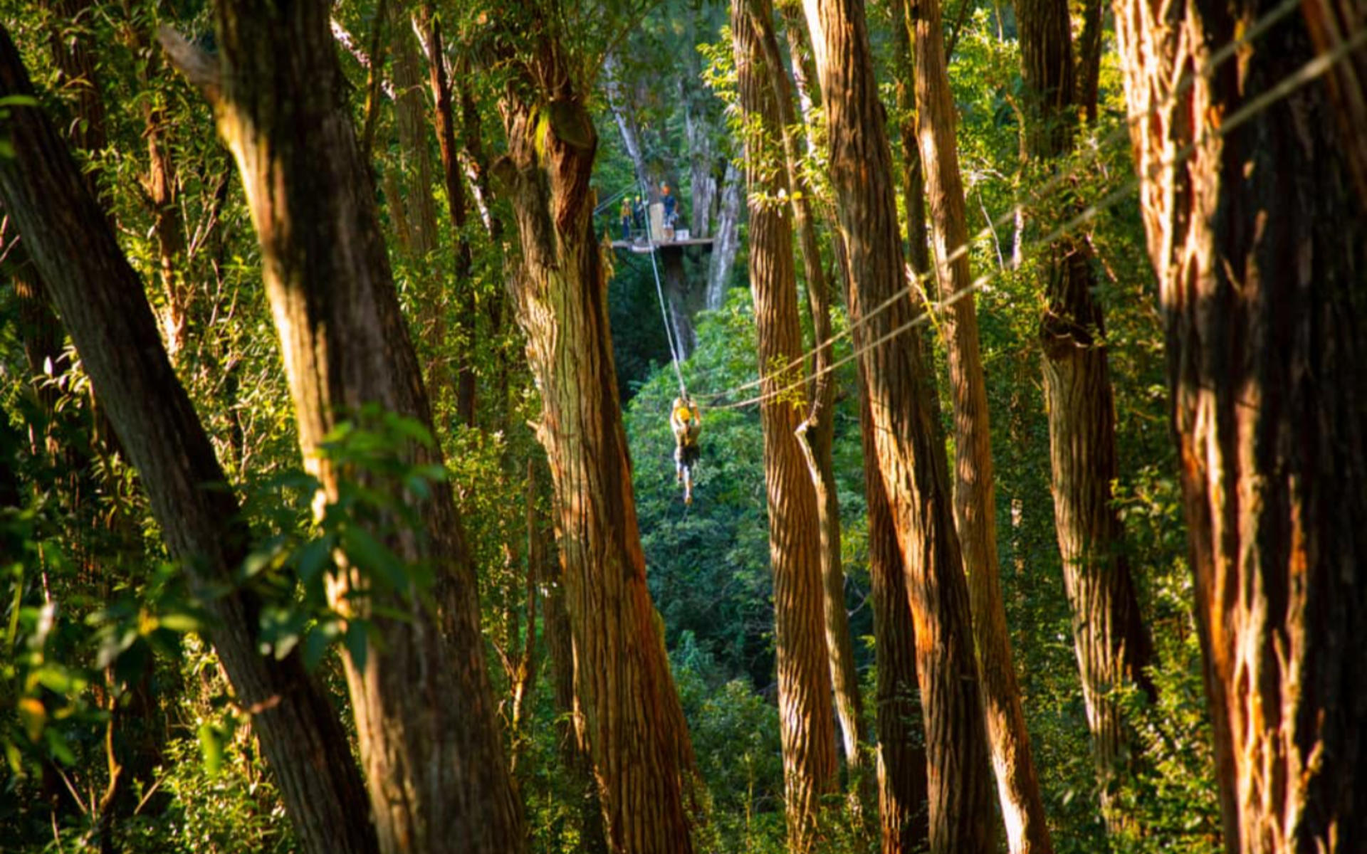 Kohala Zip & Dip Experience - Thumbnail 5