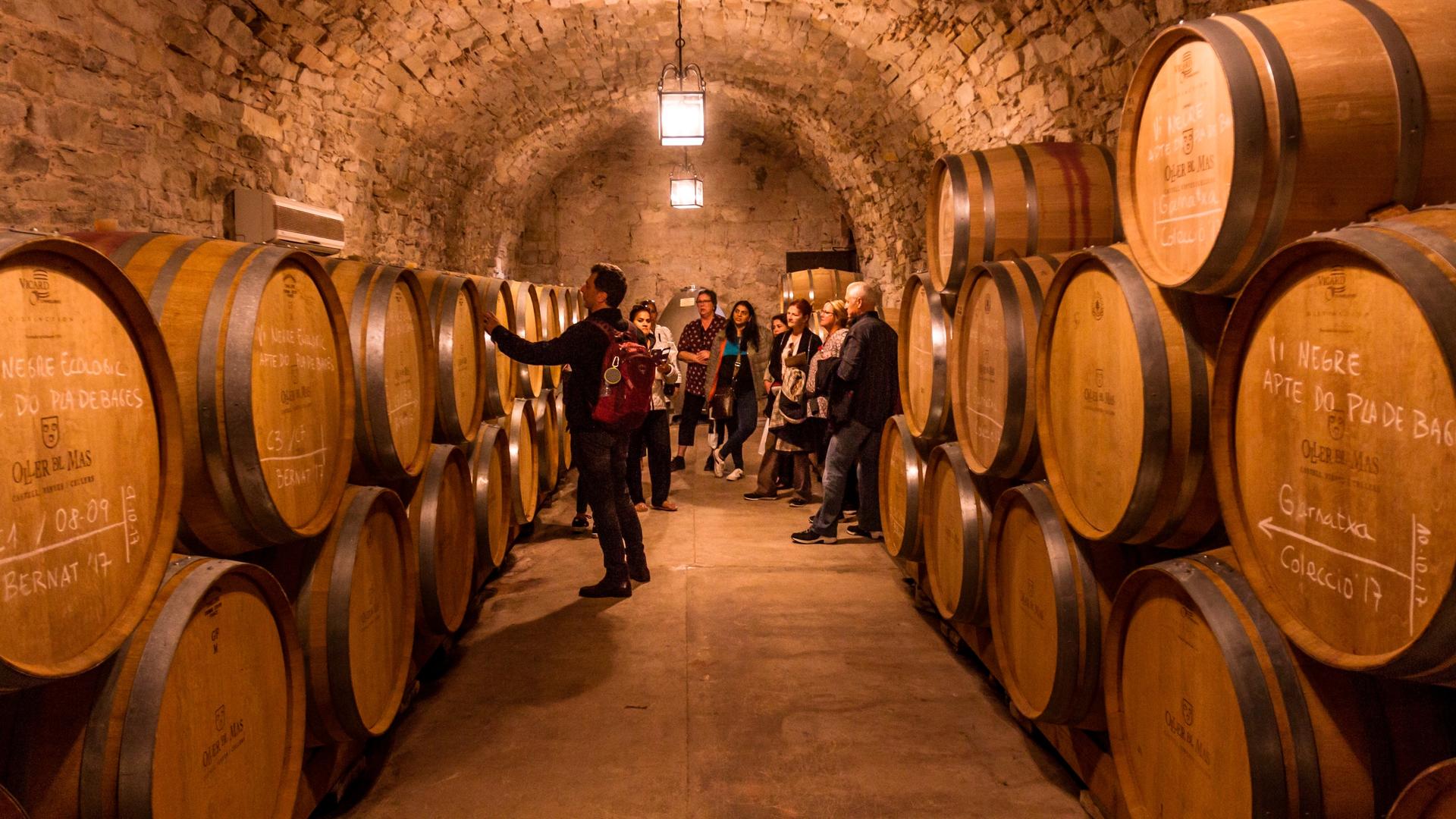 Montserrat Monastery Tour with Wine Tasting & Local Lunch - Thumbnail 9
