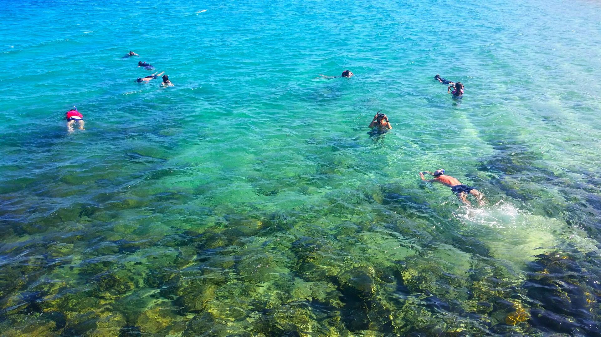 Gold Coast Kayaking & Snorkeling Tour - Thumbnail 4