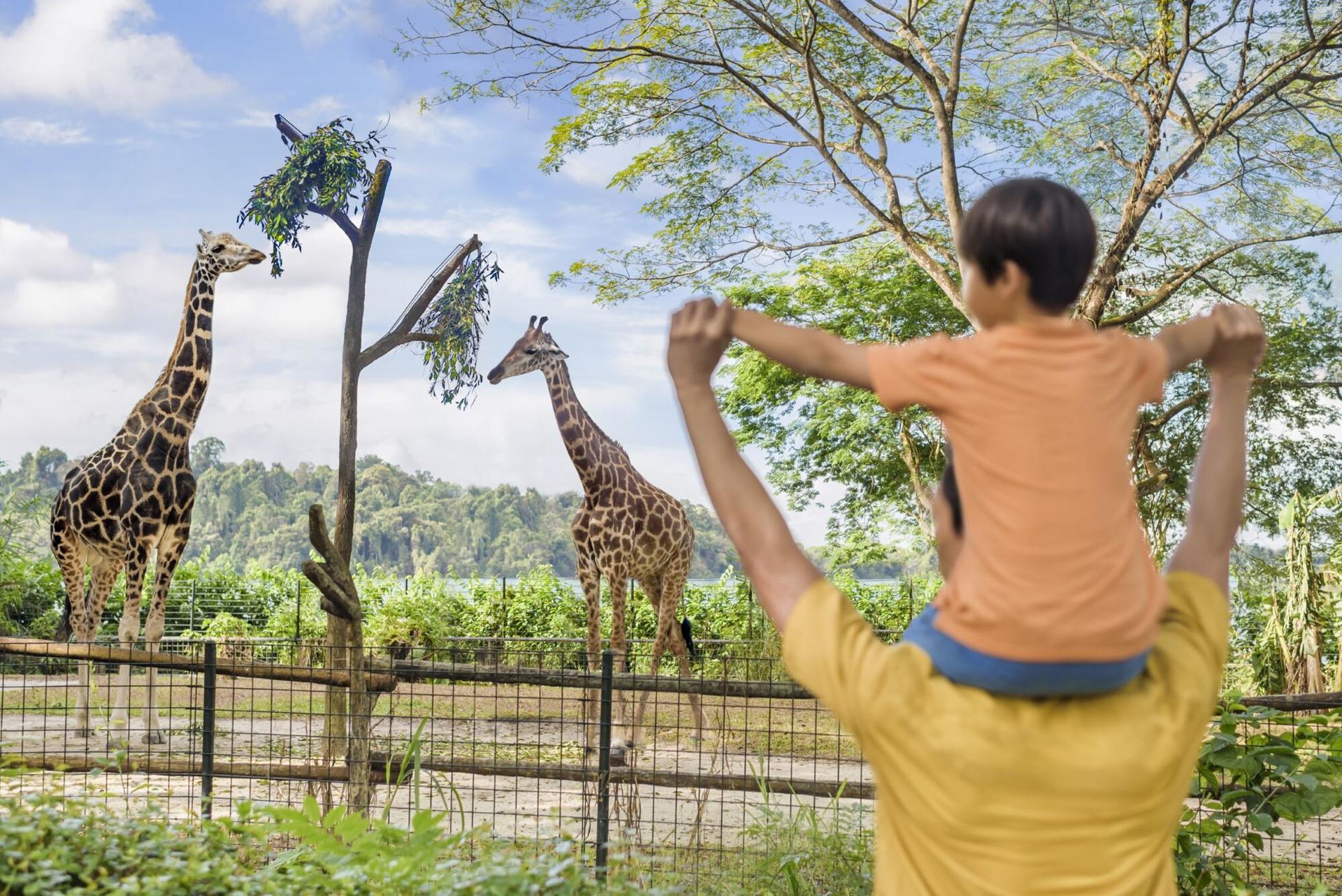 Mandai Wildlife Reserve Multi-Park Ticket - Thumbnail 2