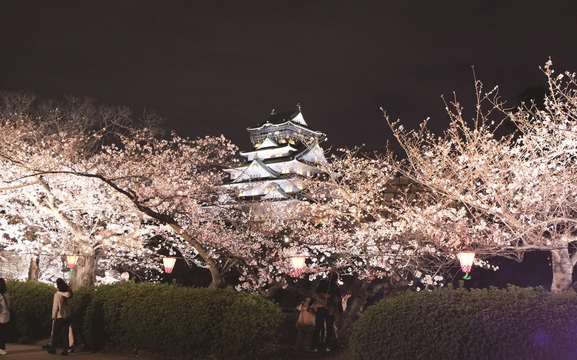 Osaka: Castle Tower Admission / Guided Walking Tour - Thumbnail 7