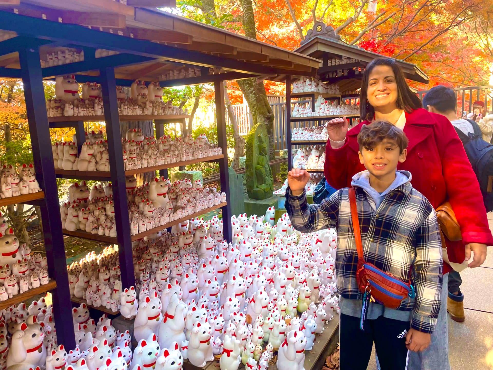 Tokyo Cat Cafe & Gotokuji Temple Half-Day Tour - Image 1