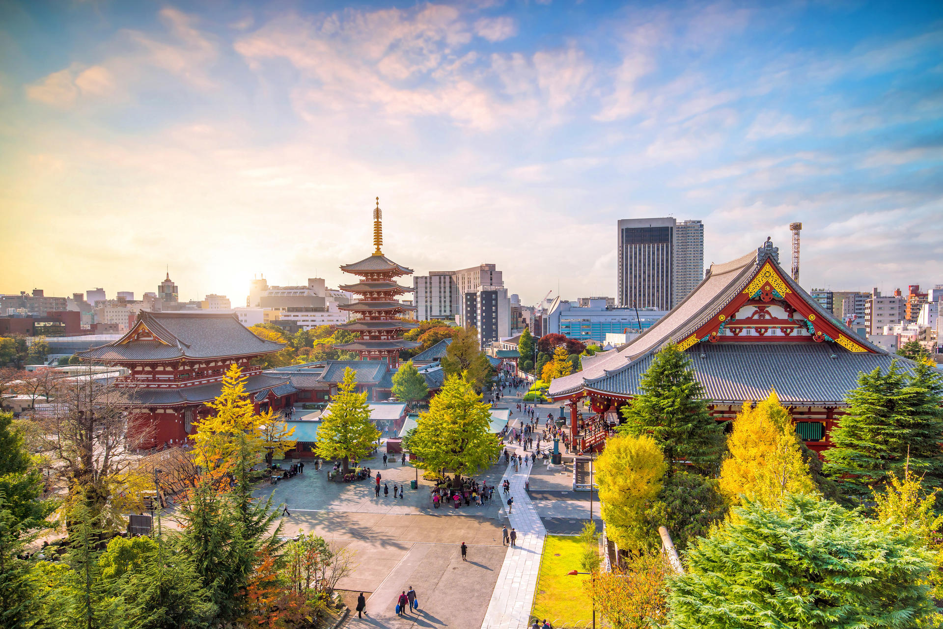 Best of Tokyo Morning  Small Group Tour - Thumbnail 4