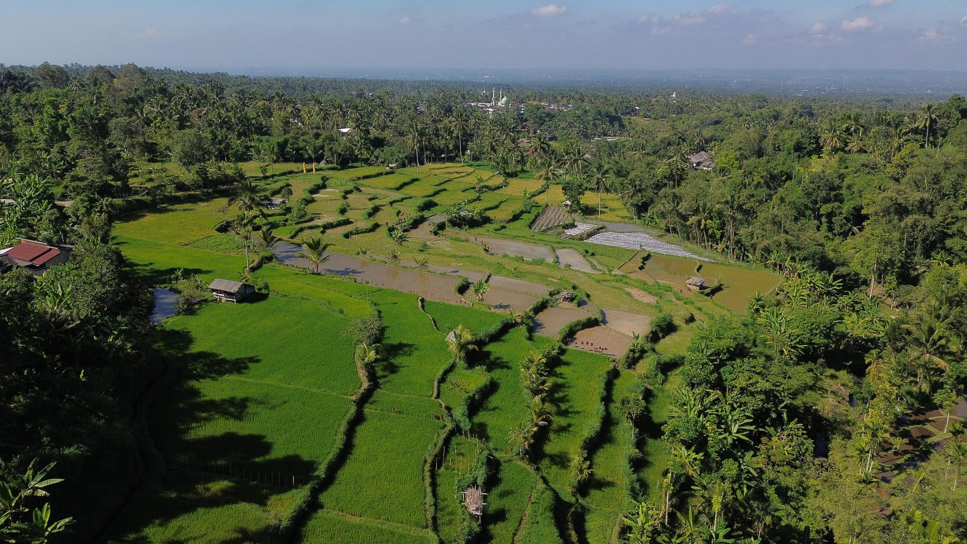 Lombok Tetebatu Full-Day Private Tour - Thumbnail 3