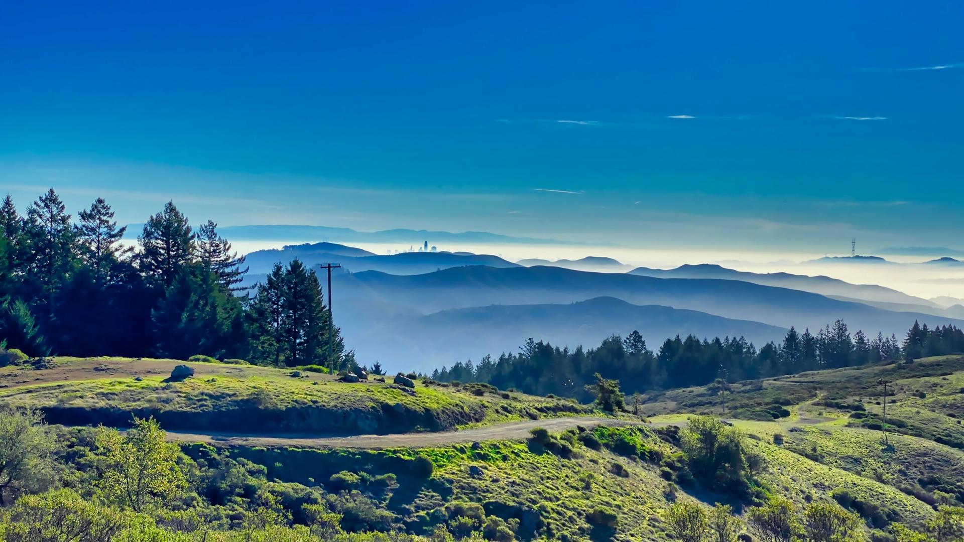 Muir Woods, Sonoma and Napa Wine Country Day Tour from San Francisco - Thumbnail 8