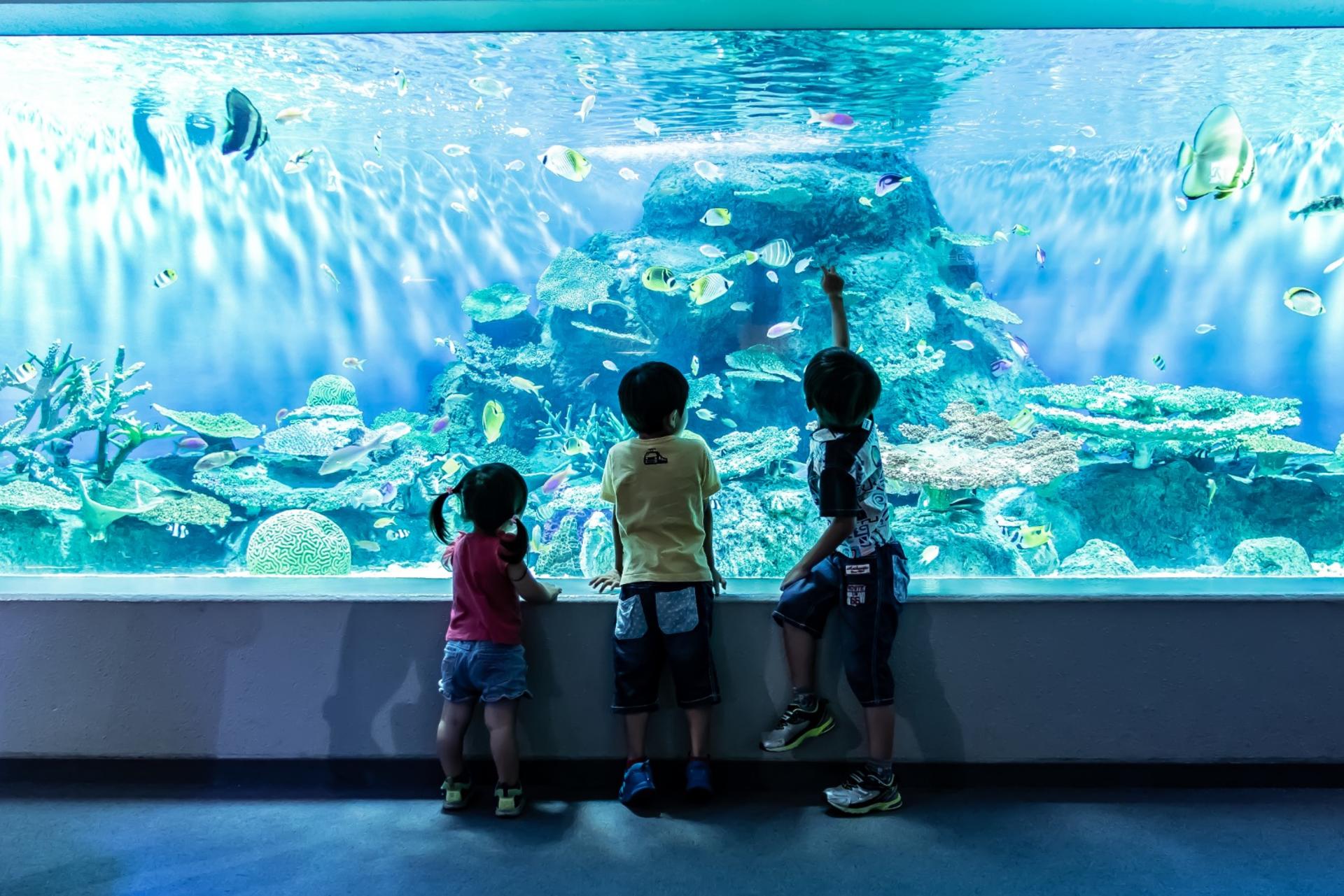Shinagawa Aquarium Admission Ticket in Tokyo - Thumbnail 2