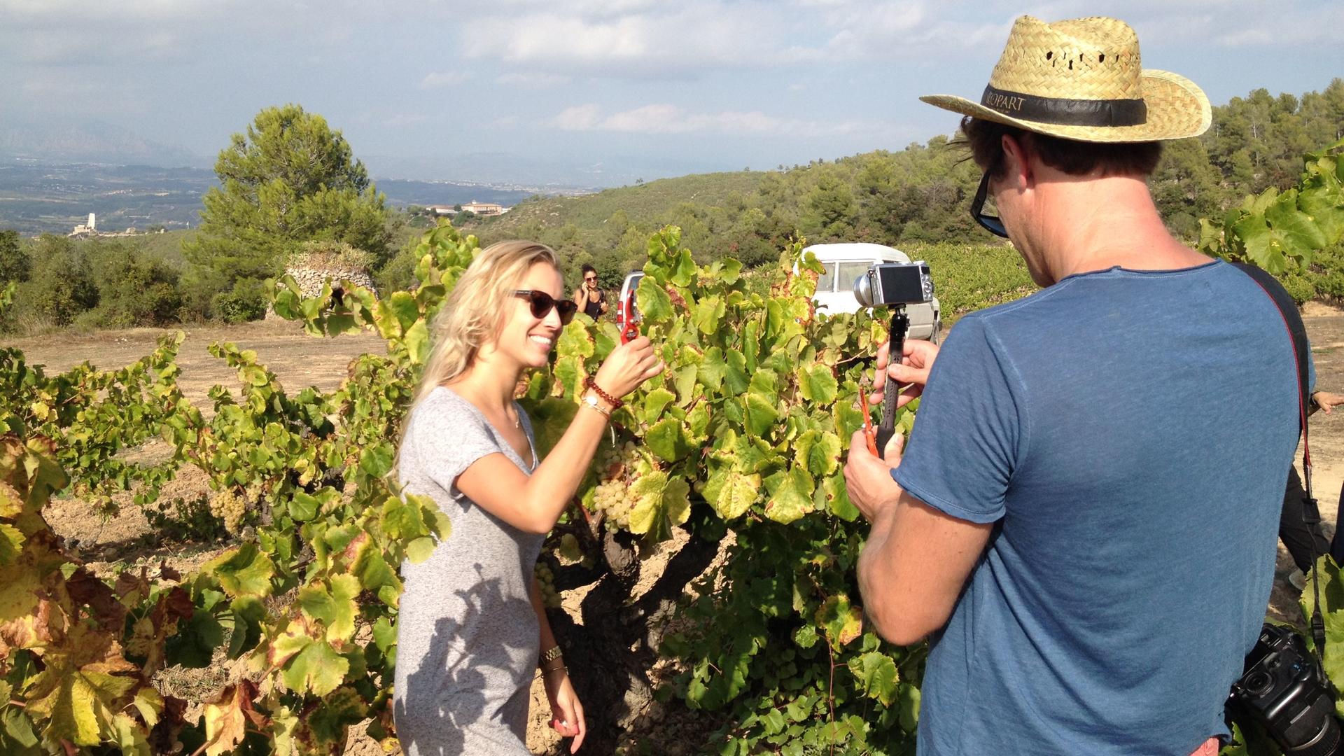 Montserrat & Penedes Cava Wineries Day Trip with Hotel Pickup - Thumbnail 2