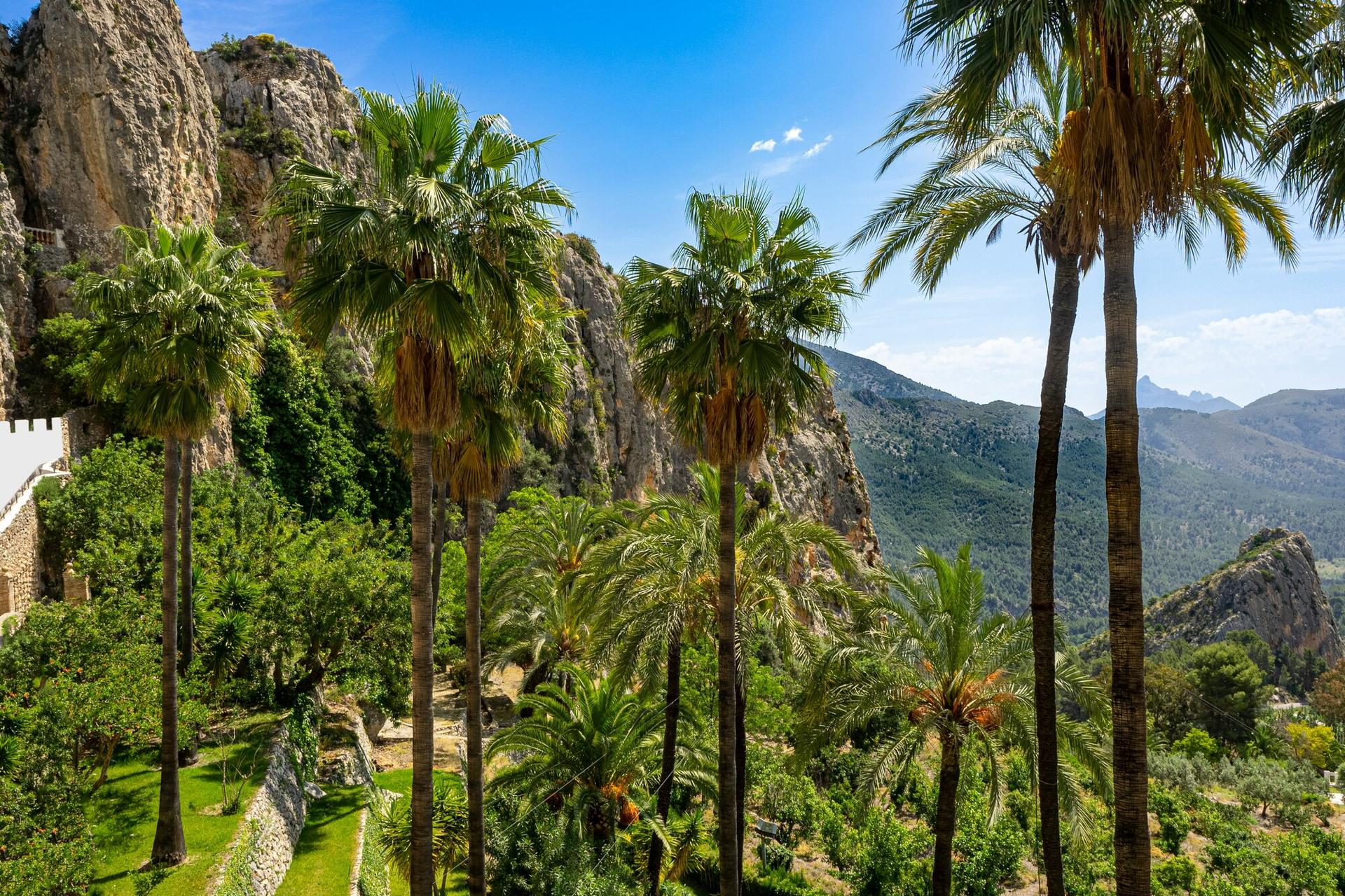 Alicante: Benidorm, Guadalest and Coast Shore Excursion - Thumbnail 8