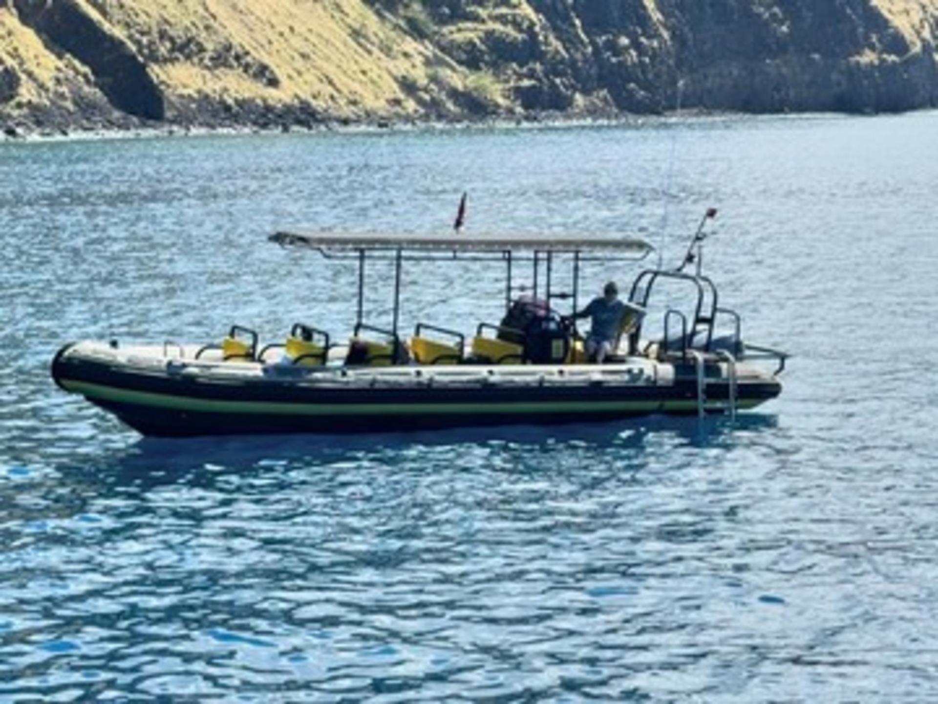 Captain Cook Monument Dolphin Watch in Kealakekua Bay - Thumbnail 4