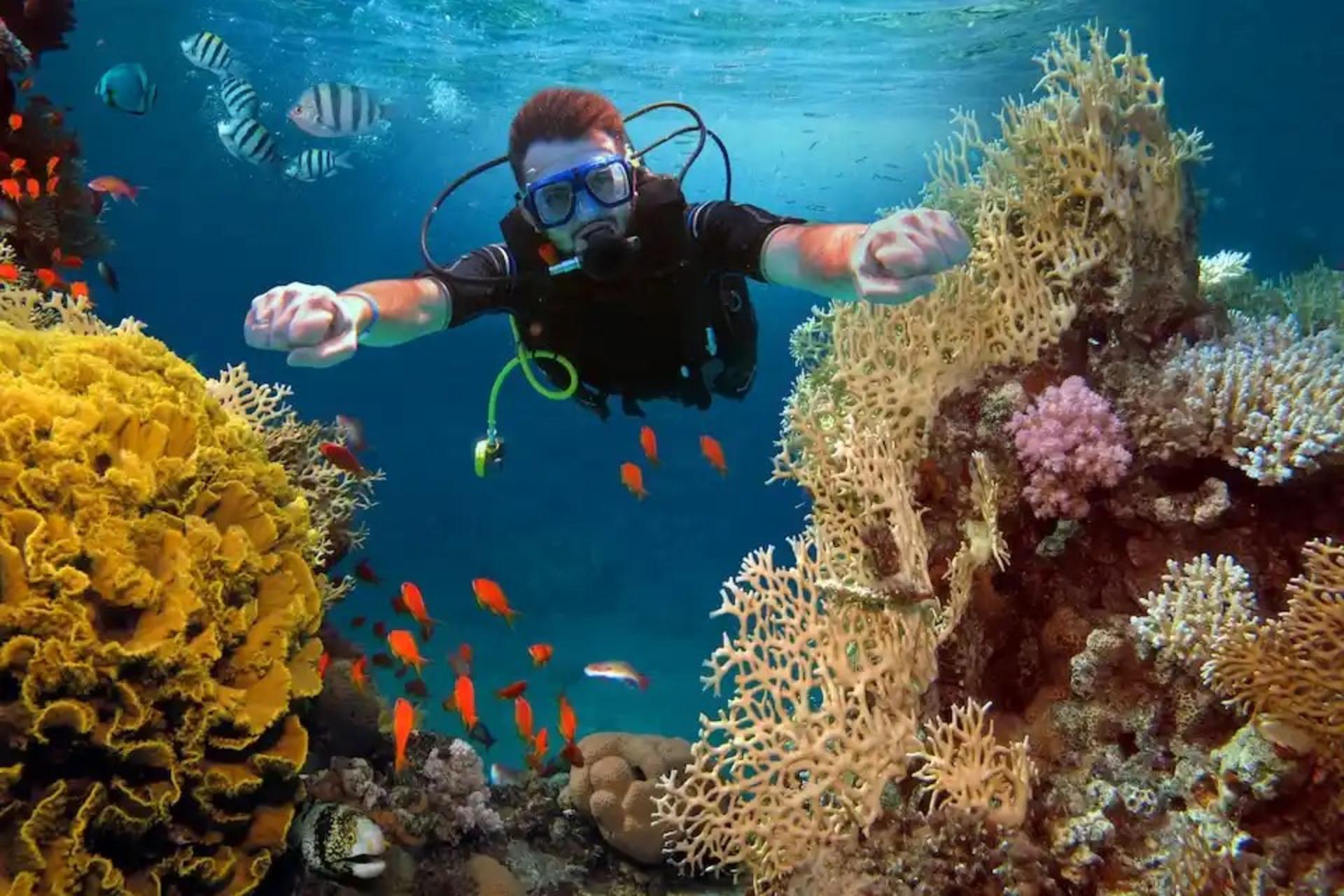 Scuba Diving in Fethiye with Lunch & Roundtrip Transfer  - Thumbnail 7