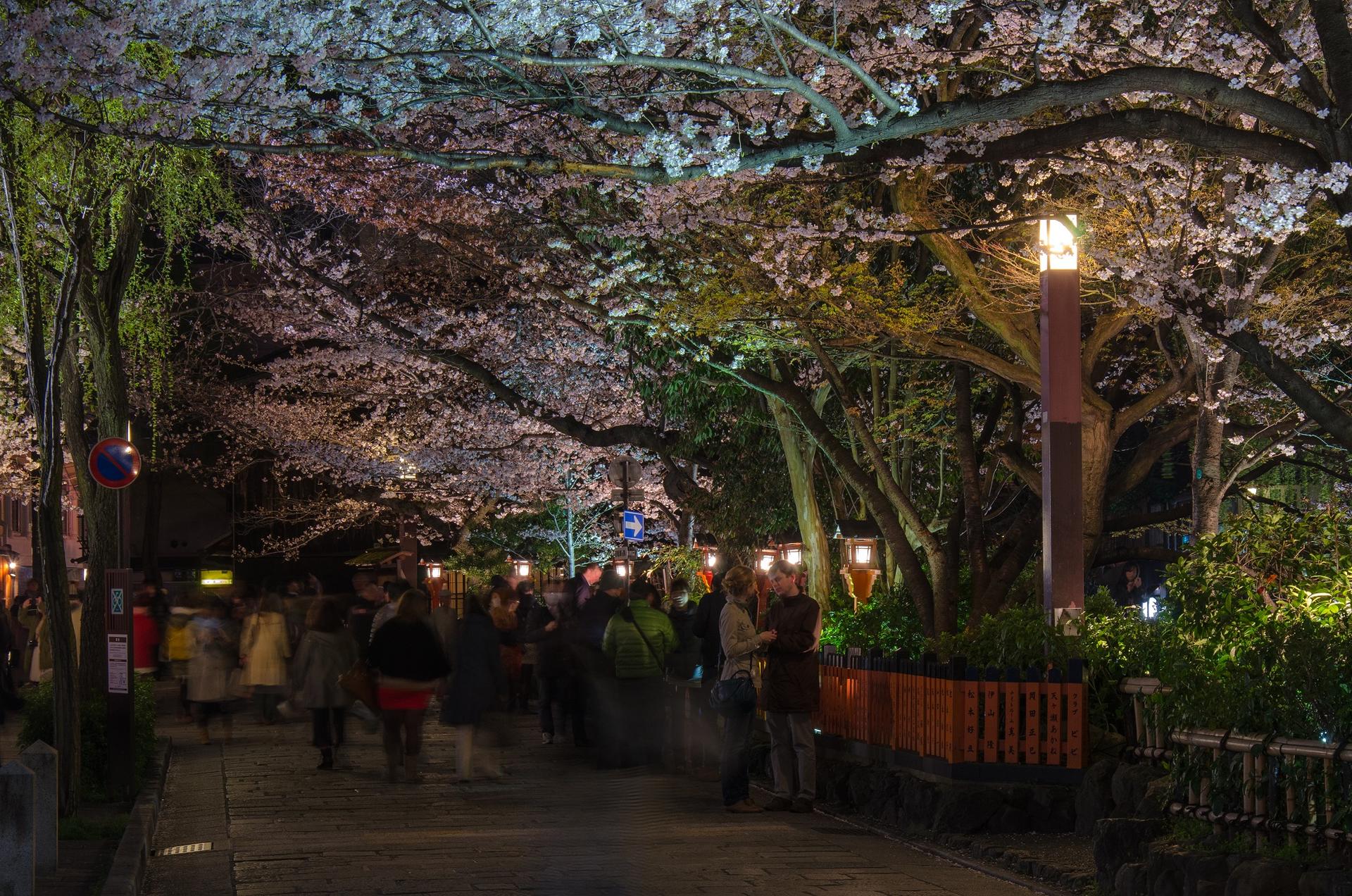 Kyoto Gion Night Guided Walking Tour (3 Hours) - Thumbnail 17