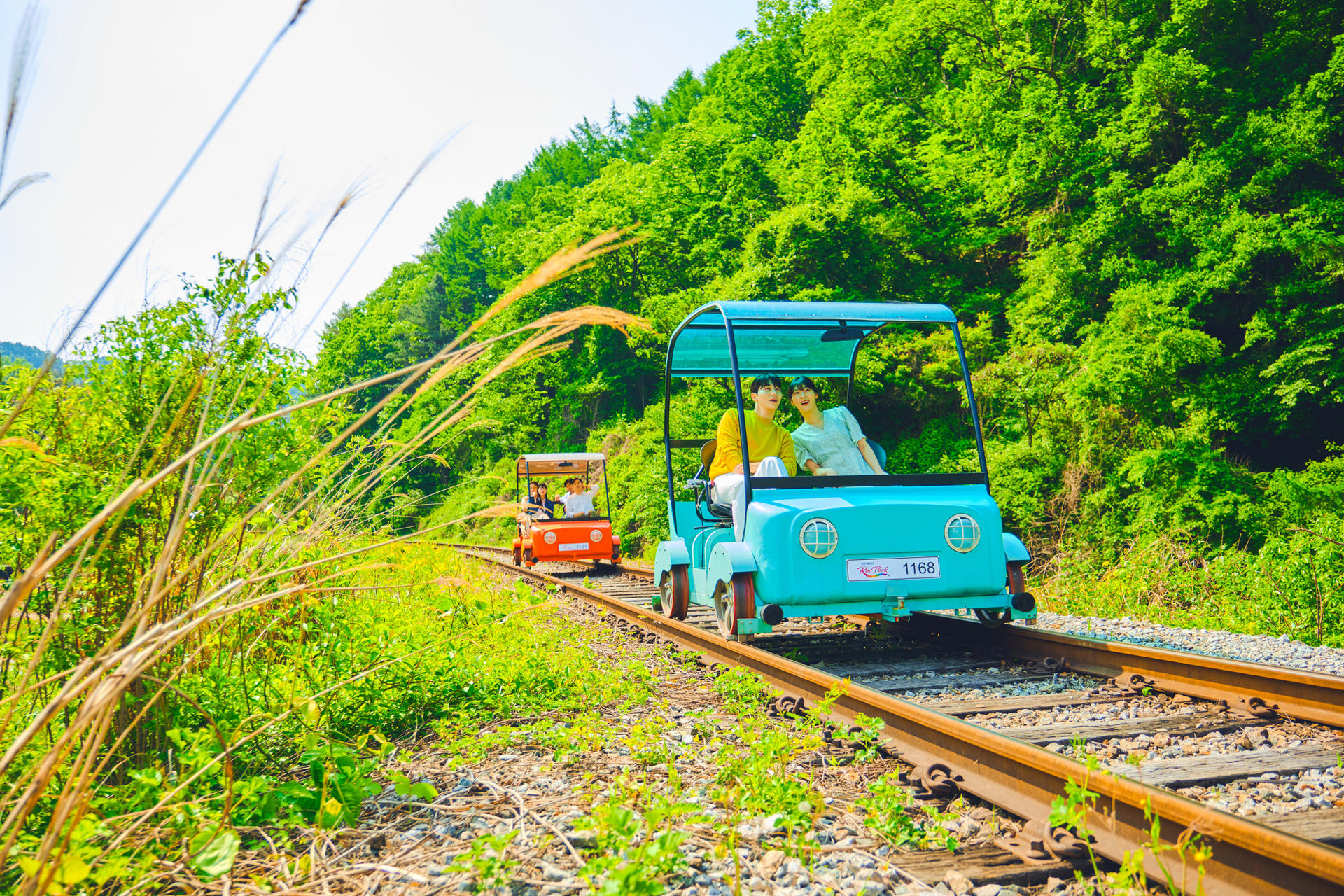 9-Hour Private Car Charter to Nami Island Suburb / Alpaca World from Seoul - Thumbnail 13