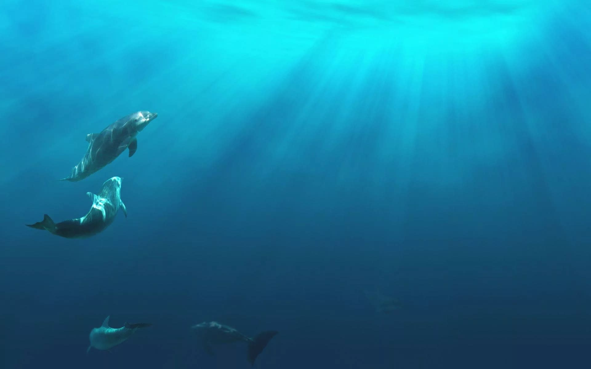 Half-Day Snorkelling Trip in Athens with PADI 5 Star Dive Center - Thumbnail 4