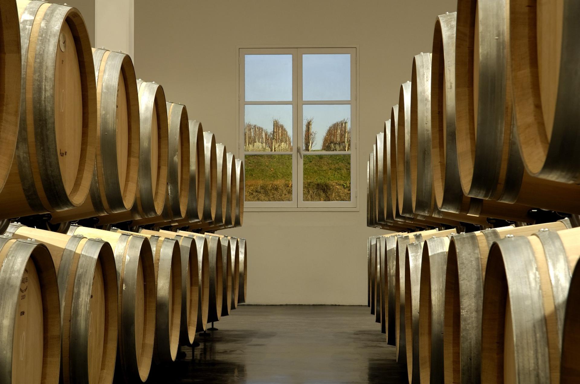 Medoc Full Day or Half Day Wine Tour from Bordeaux - Thumbnail 4