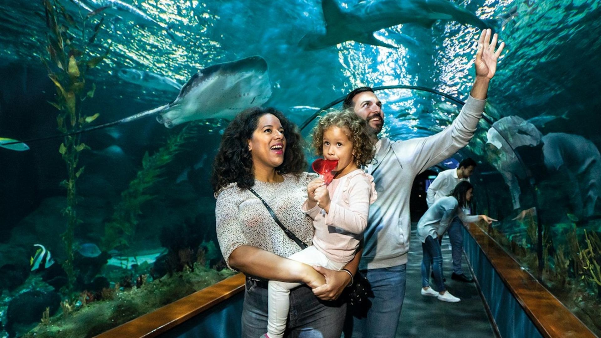 Loro Parque ticket - Image 1