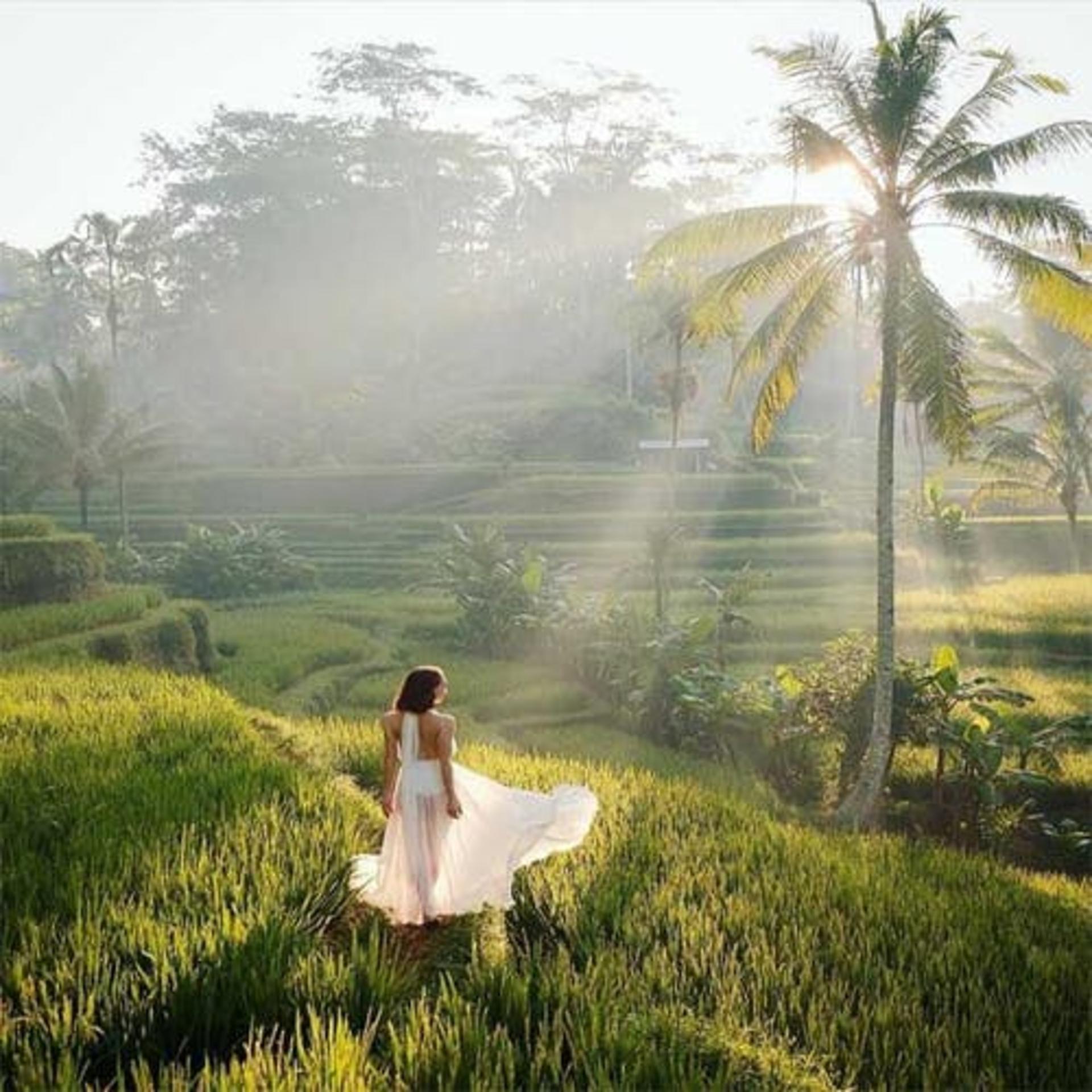 Ubud & Kintamani Full-Day Customizable Tour - Thumbnail 11