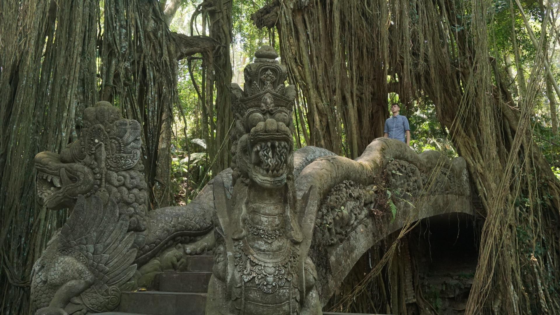 Ubud Monkey Forest and Tegalalang Private Trip - Thumbnail 4